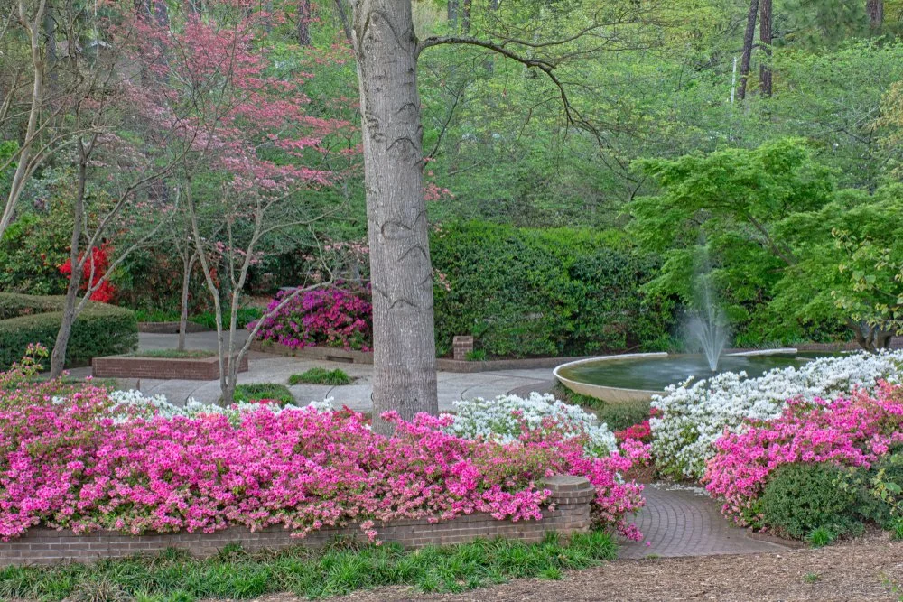 An idyllic resting area in Glencairn Garden surrounded by flowers with a fountain nearby