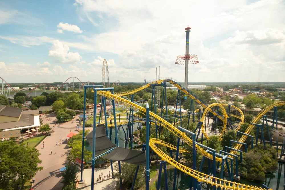 Carowinds theme park, with its signature attraction the Nighthawk Roller Coaster (Copy)