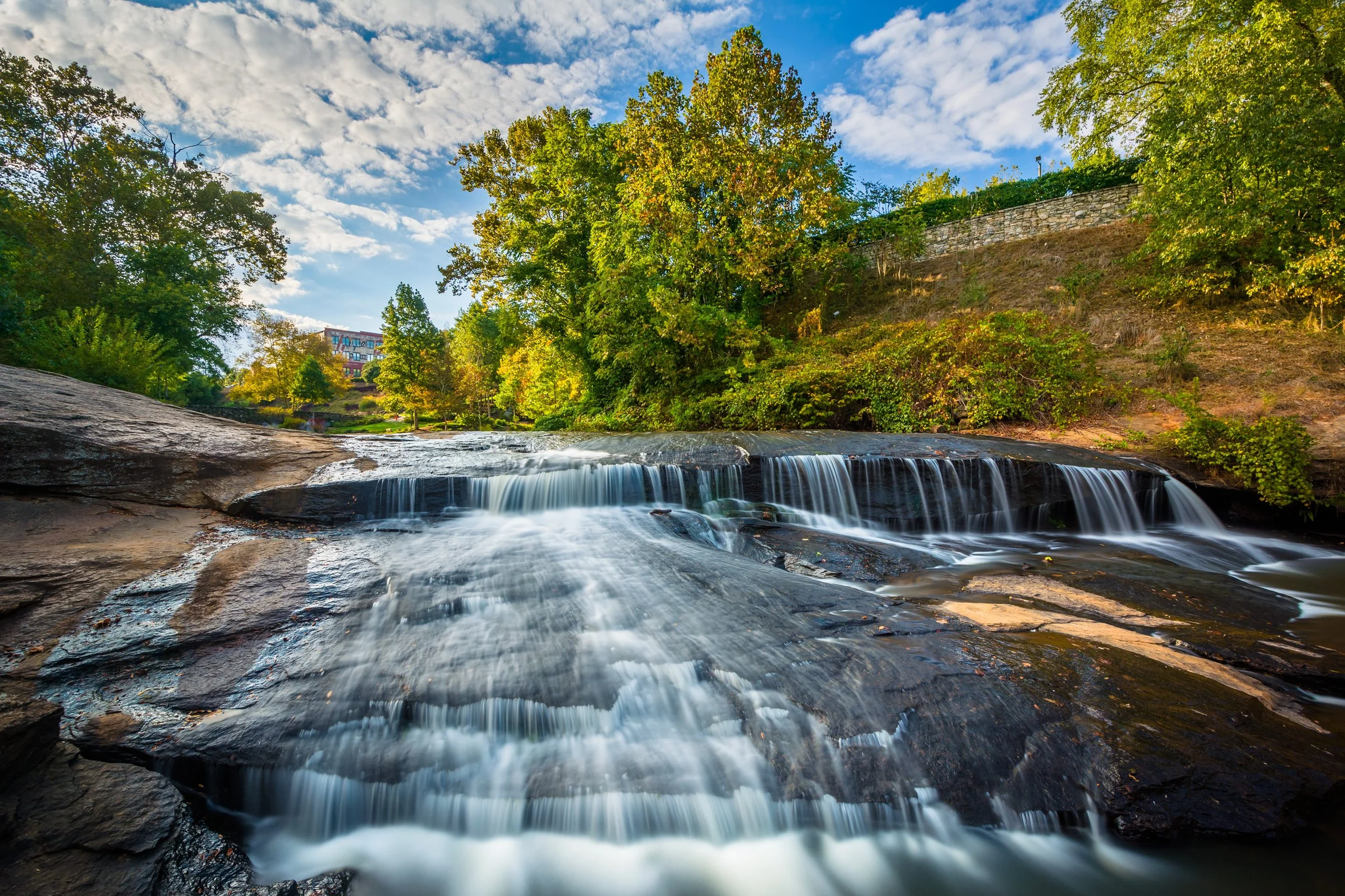 The namesake waterfall and river of Falls Park on the Reedy flowing through a dense forest (Copy)