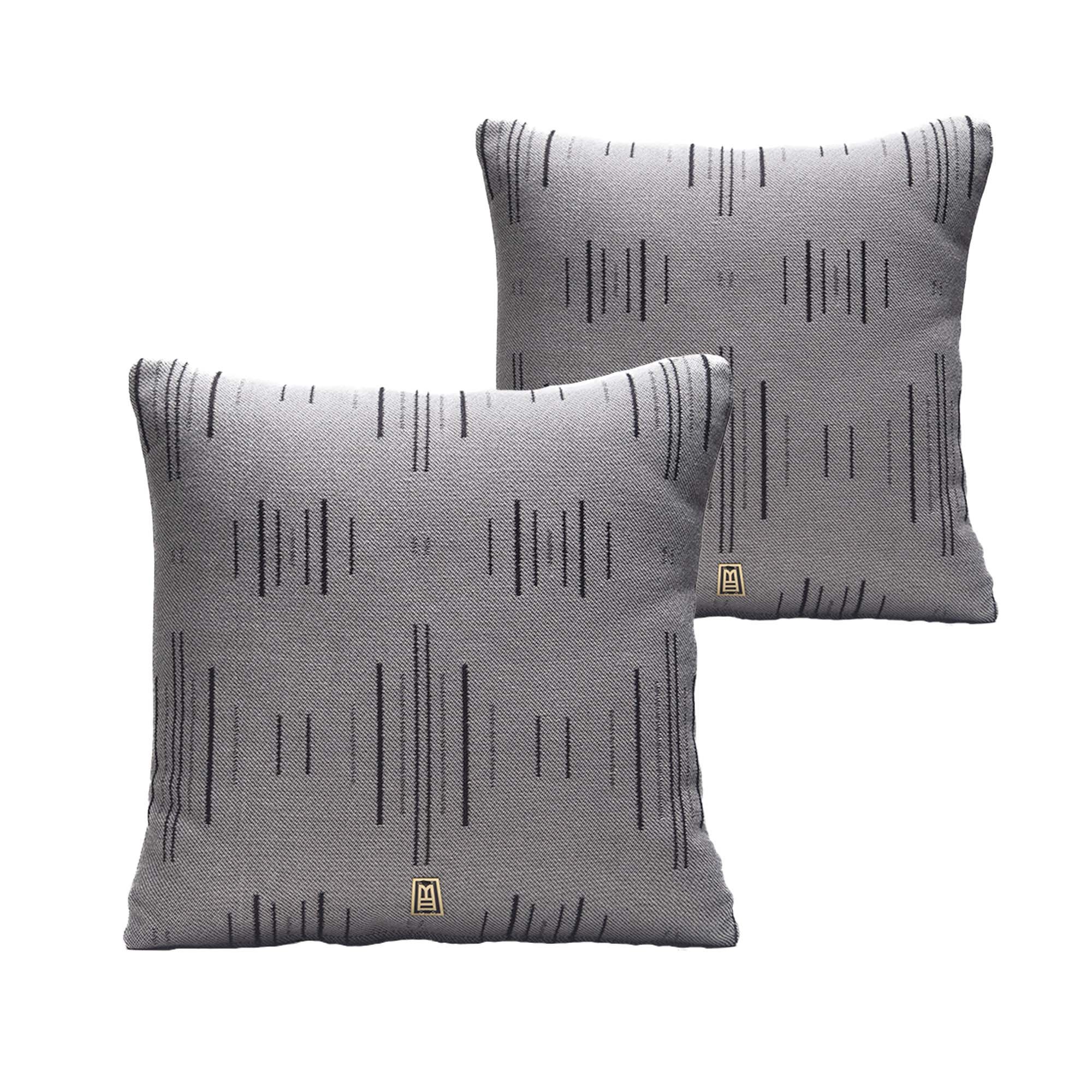 ANDEAN_AACCAAP04GY_02_CHRISFALCONY.jpg (Copy)