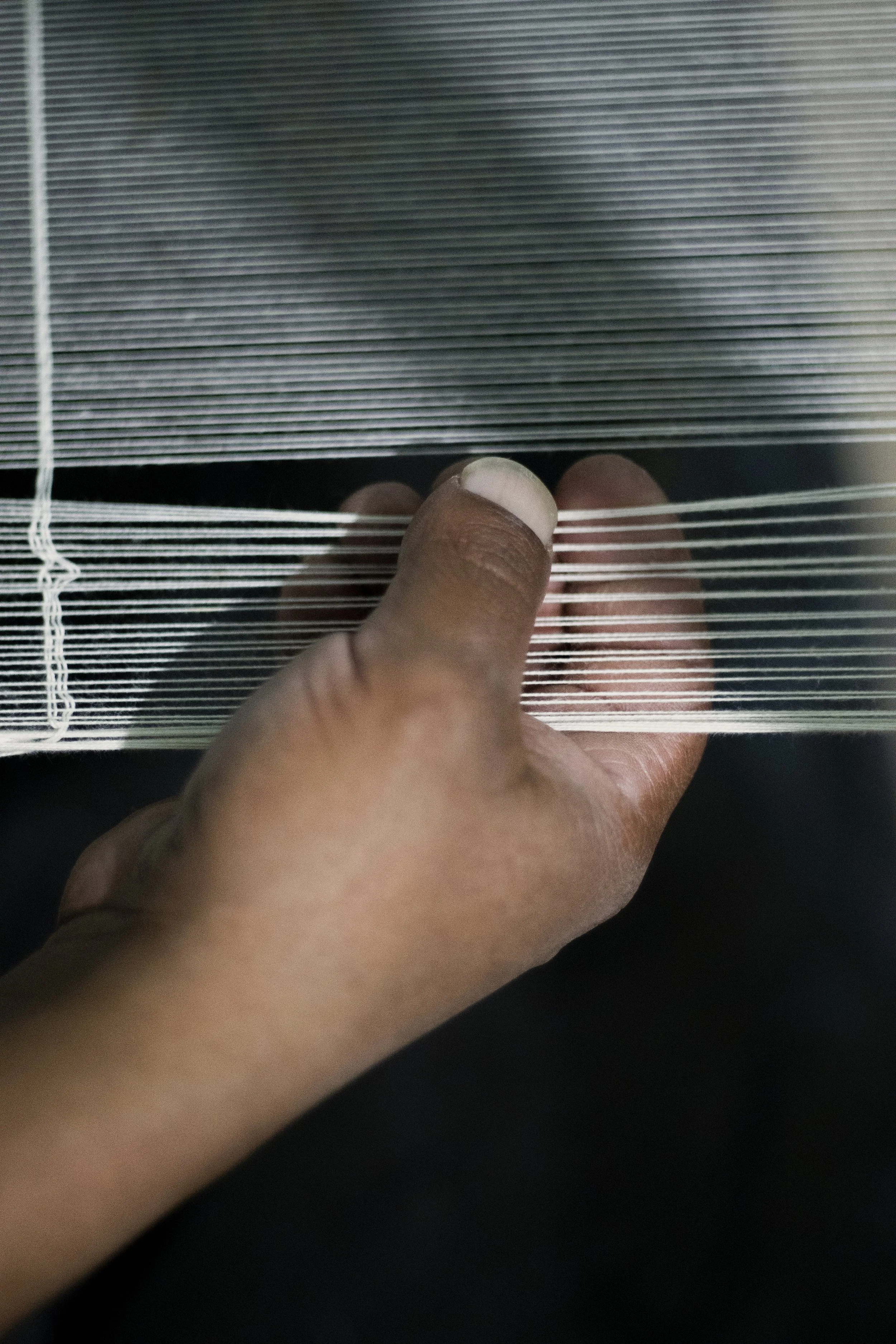 ANDEAN_AACCAAP04GY_15_CHRISFALCONY.jpg (Copy)