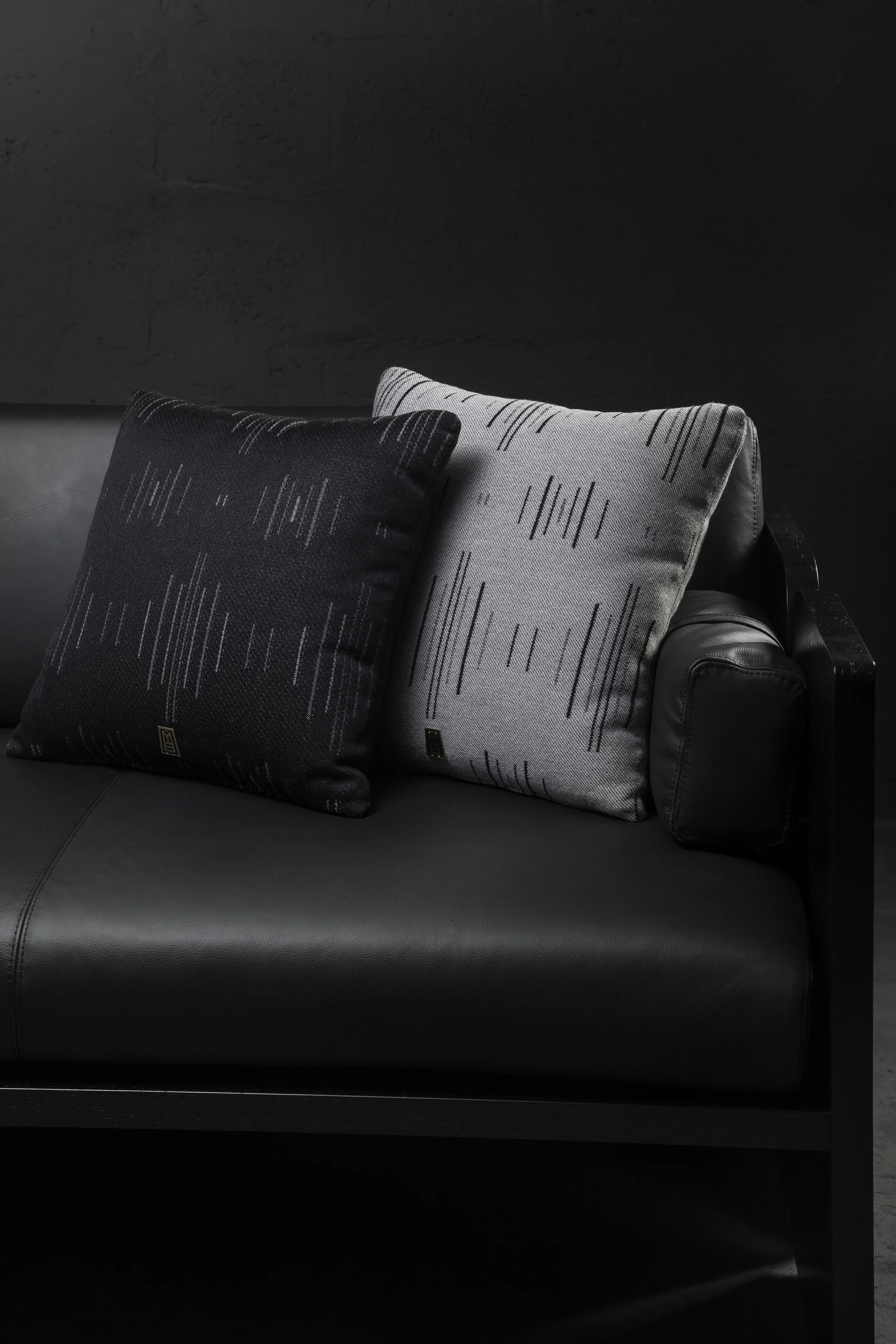 ANDEAN_AACCAAP04K_08_CHRISFALCONY.jpg (Copy)