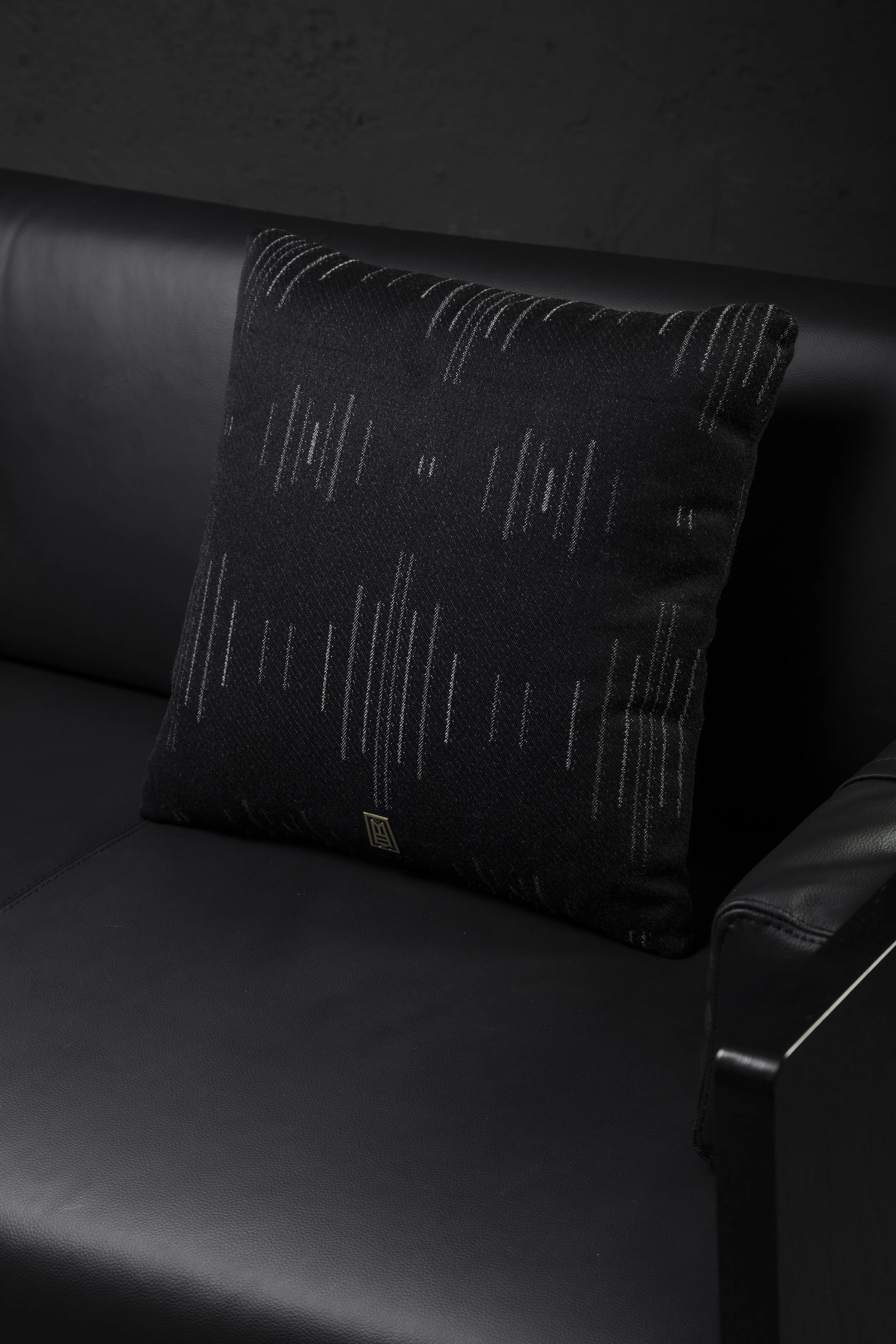 ANDEAN_AACCAAP04K_07_CHRISFALCONY.jpg (Copy)