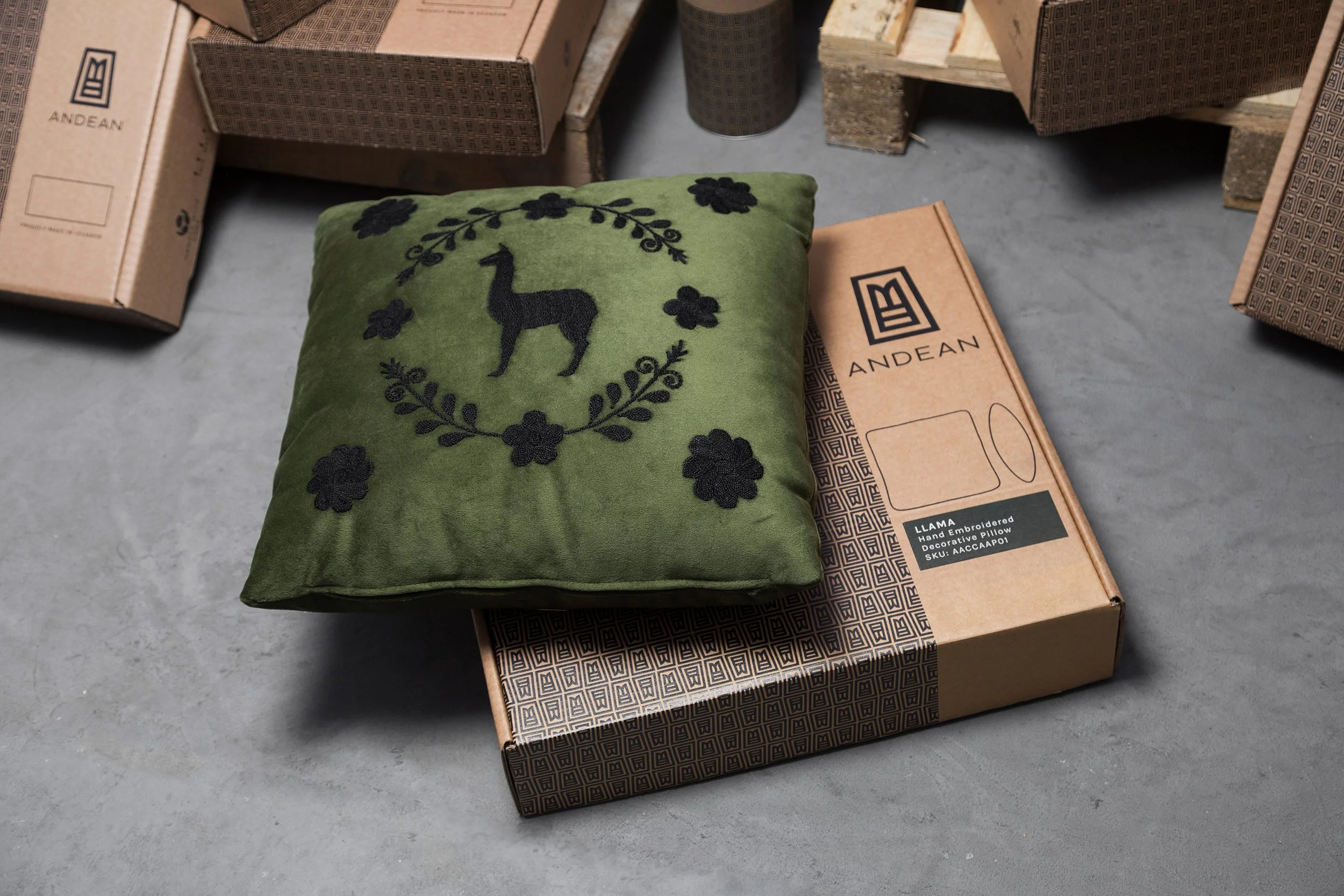 ANDEAN_AACCAAP04K_11_CHRISFALCONY.jpg (Copy)