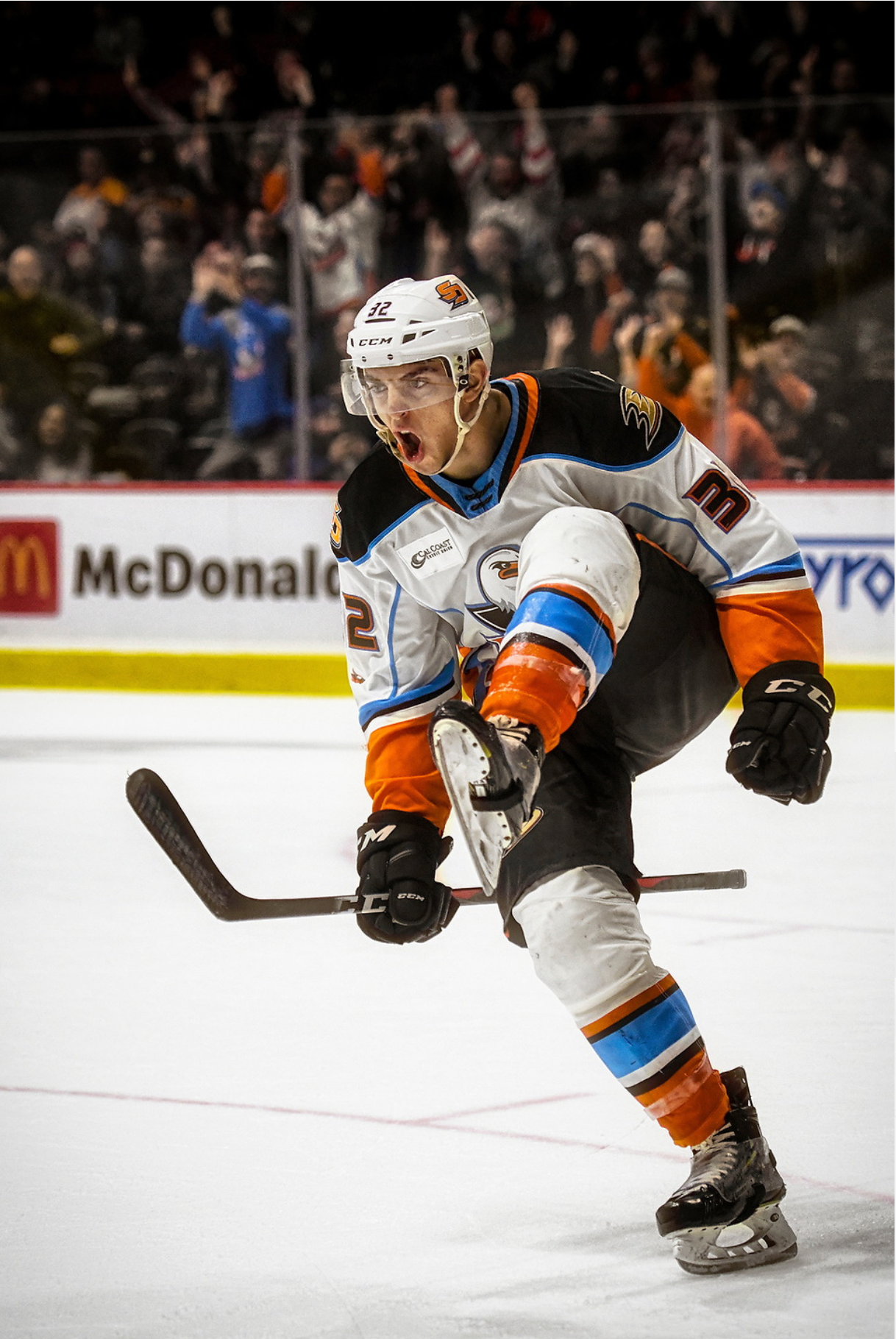 Gulls 1.png