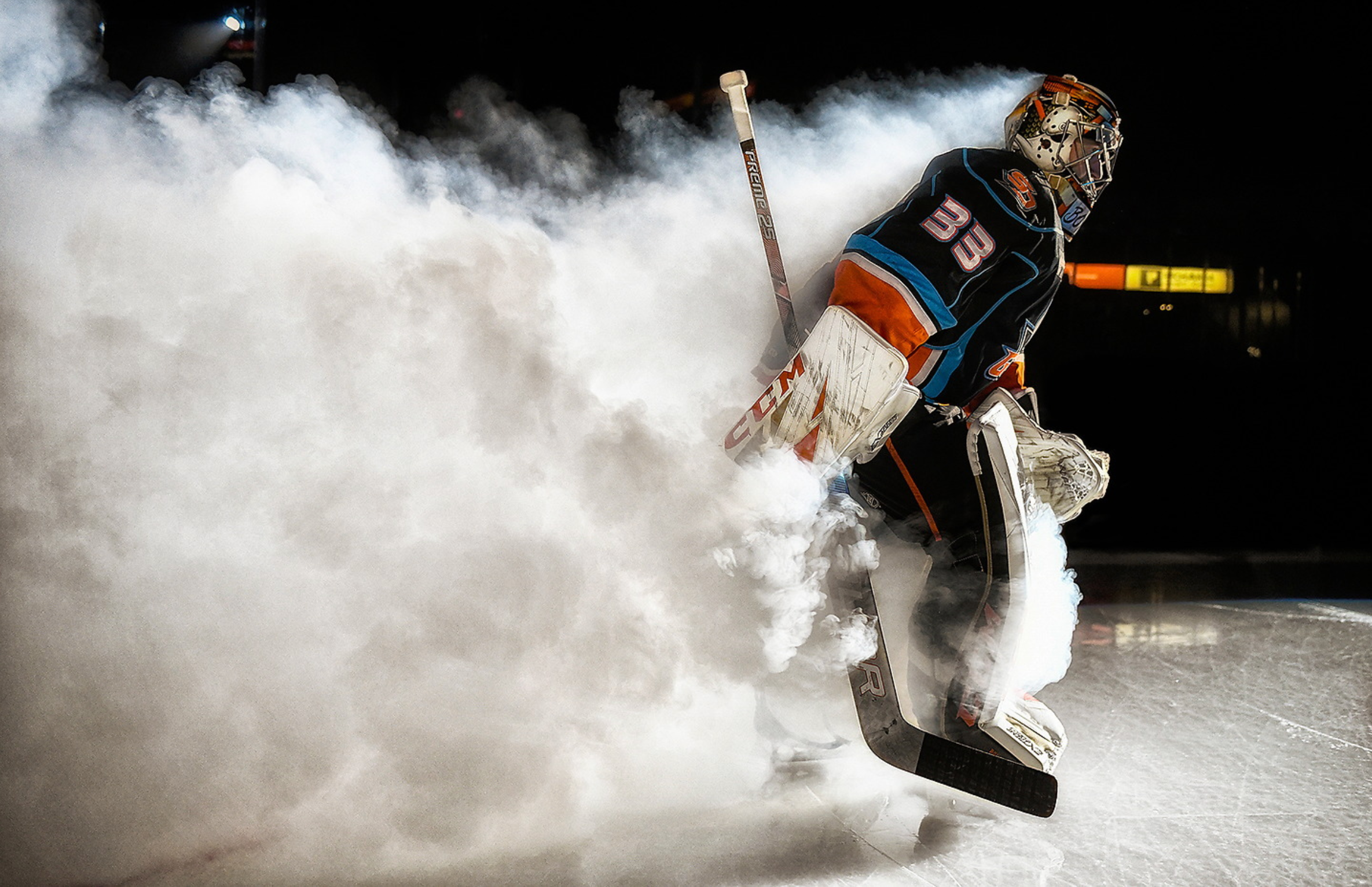 Gulls 4.png