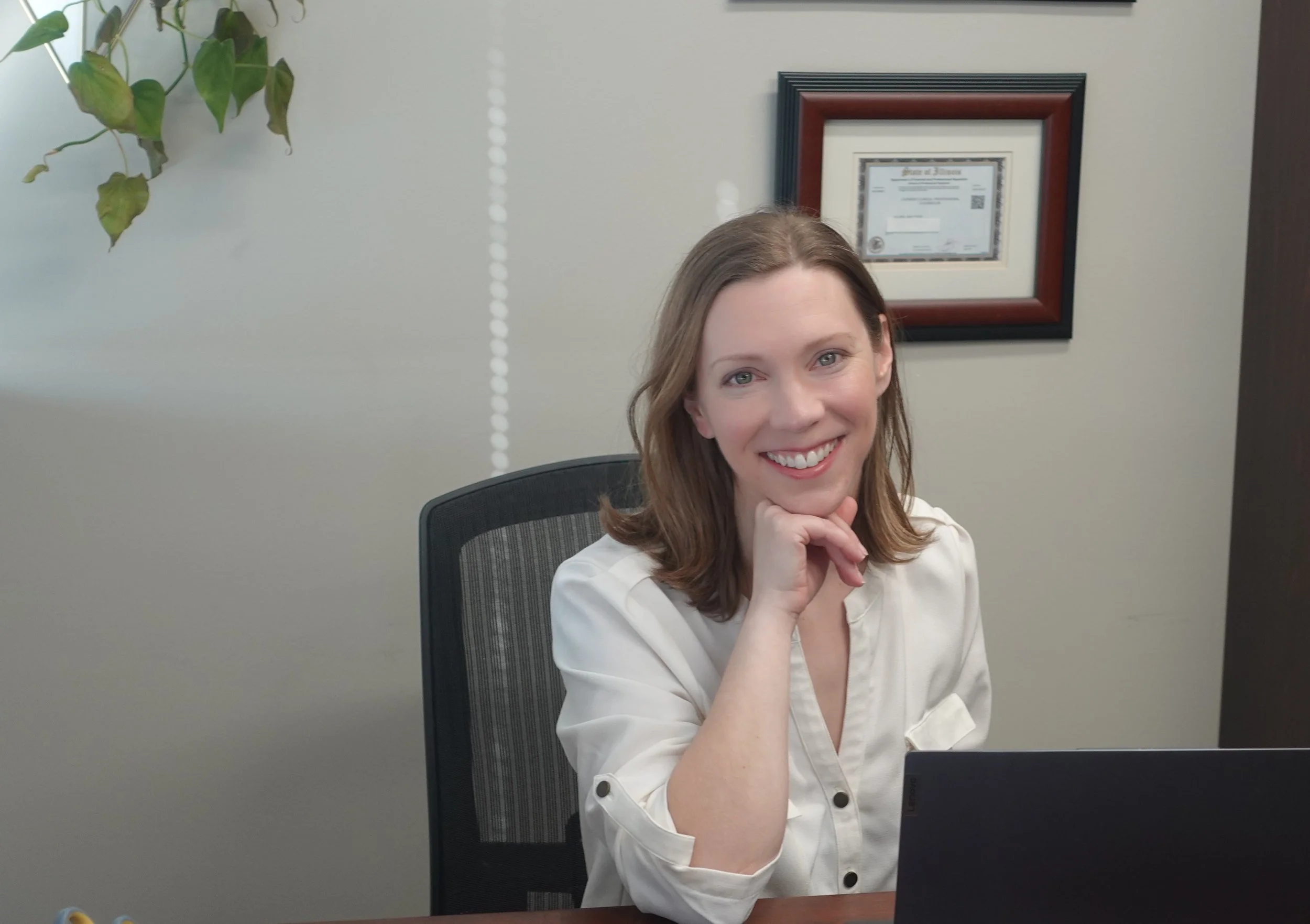 Individual Therapy Hoffman/Schaumburg Counseling