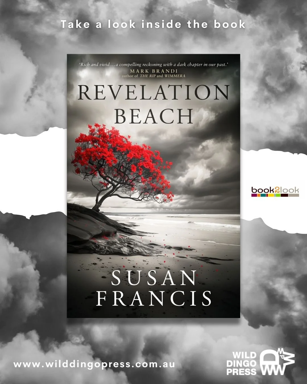 Our latest newsletter has landed ✉️ — this month we’re featuring Revelation Beach by @susanfranciswriter, out in October.
A literary page-turner for thriller lovers, Revelation Beach blends fact and fiction around the Balibo Five and the