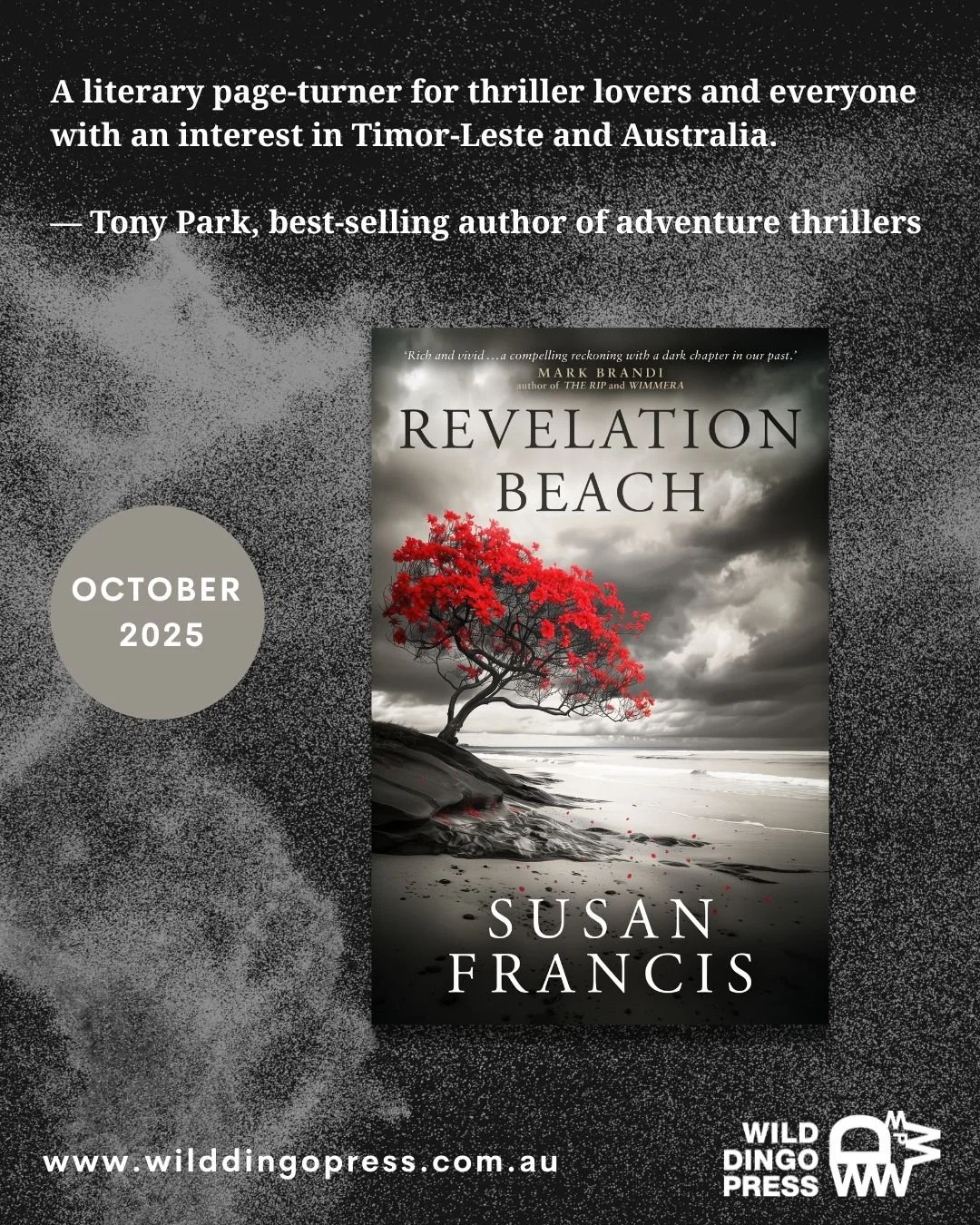 A literary page-turner for thriller lovers and everyone with an interest in Timor-Leste and Australia.
— Tony Park, best-selling author of adventure thrillers
Revelation Beach is out next week. Look for it at your local bookshop or order now