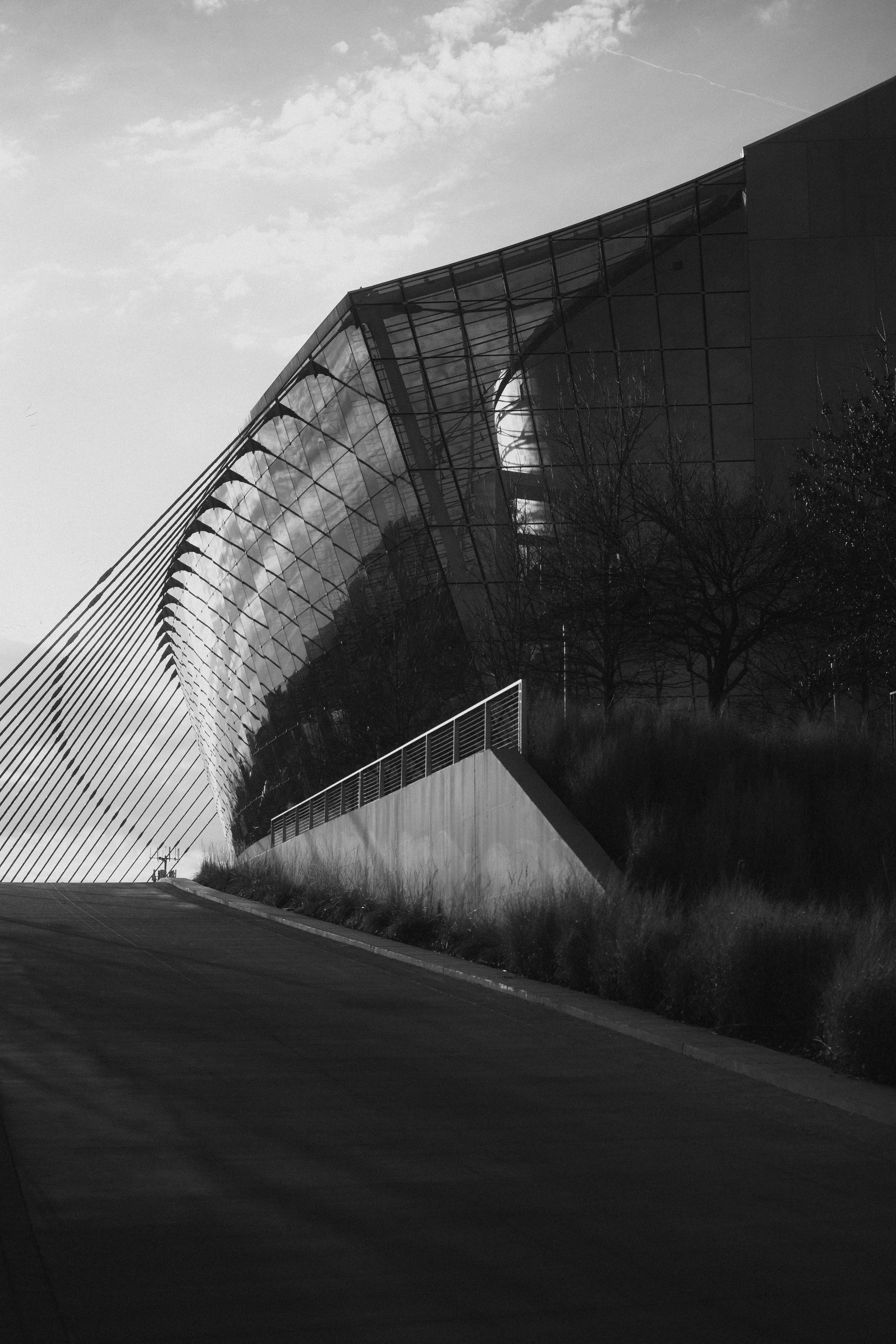 A modern architectural building with a glass facade and unique curved design, accompanied by trees and landscaped area in black and white.