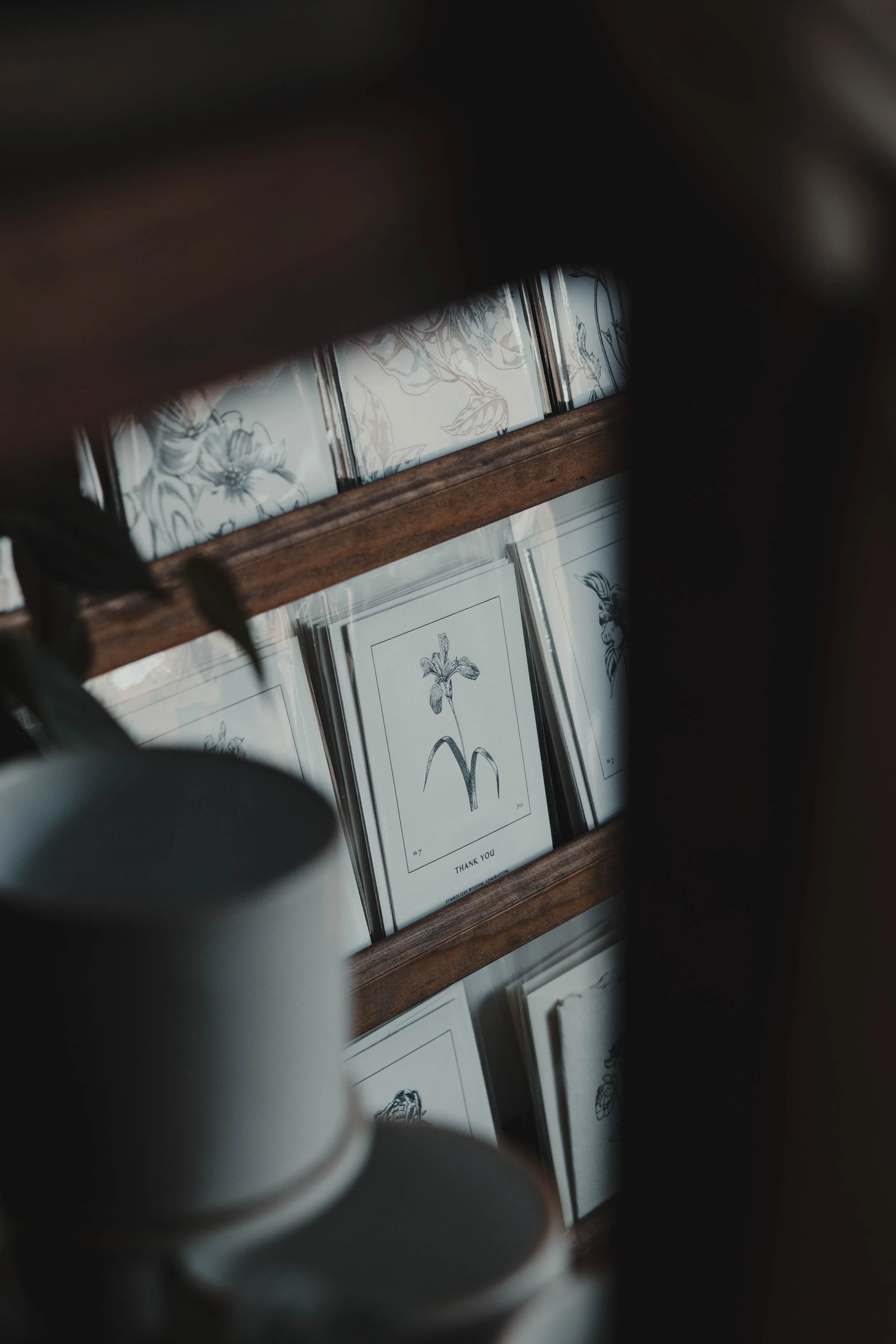 Display of black-and-white botanical illustrations on cards arranged on wooden shelves, with a blurred white cup in the foreground.
