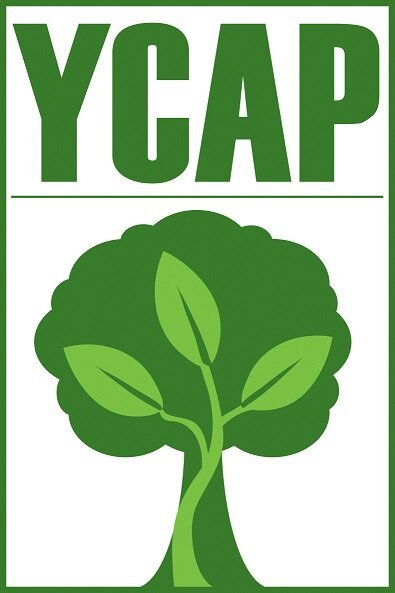 YCAP+Logo+for+Website.jpeg