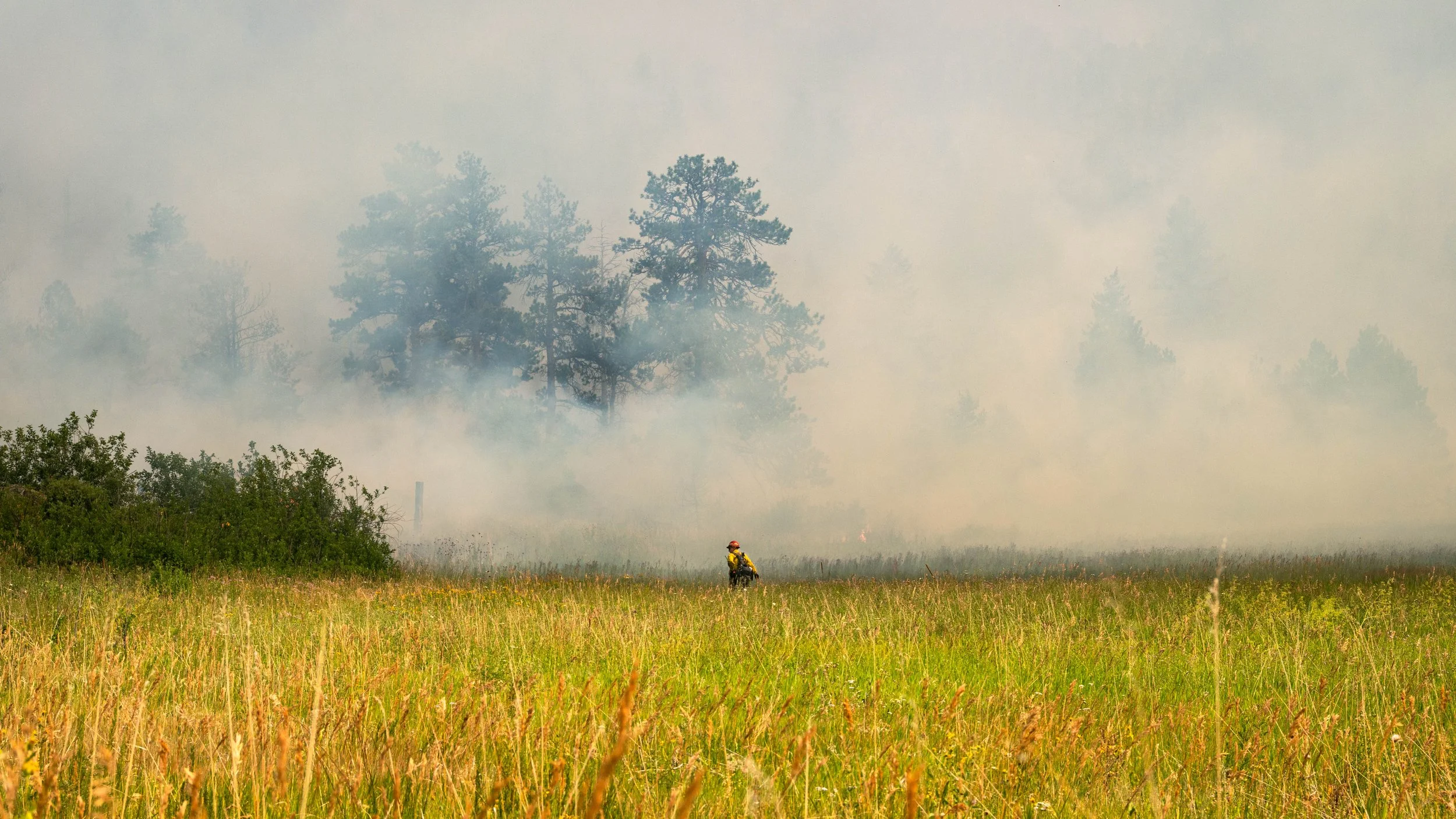08-01-24_Garrett-Mogel_Alexander-MNT-Fire_9.jpg