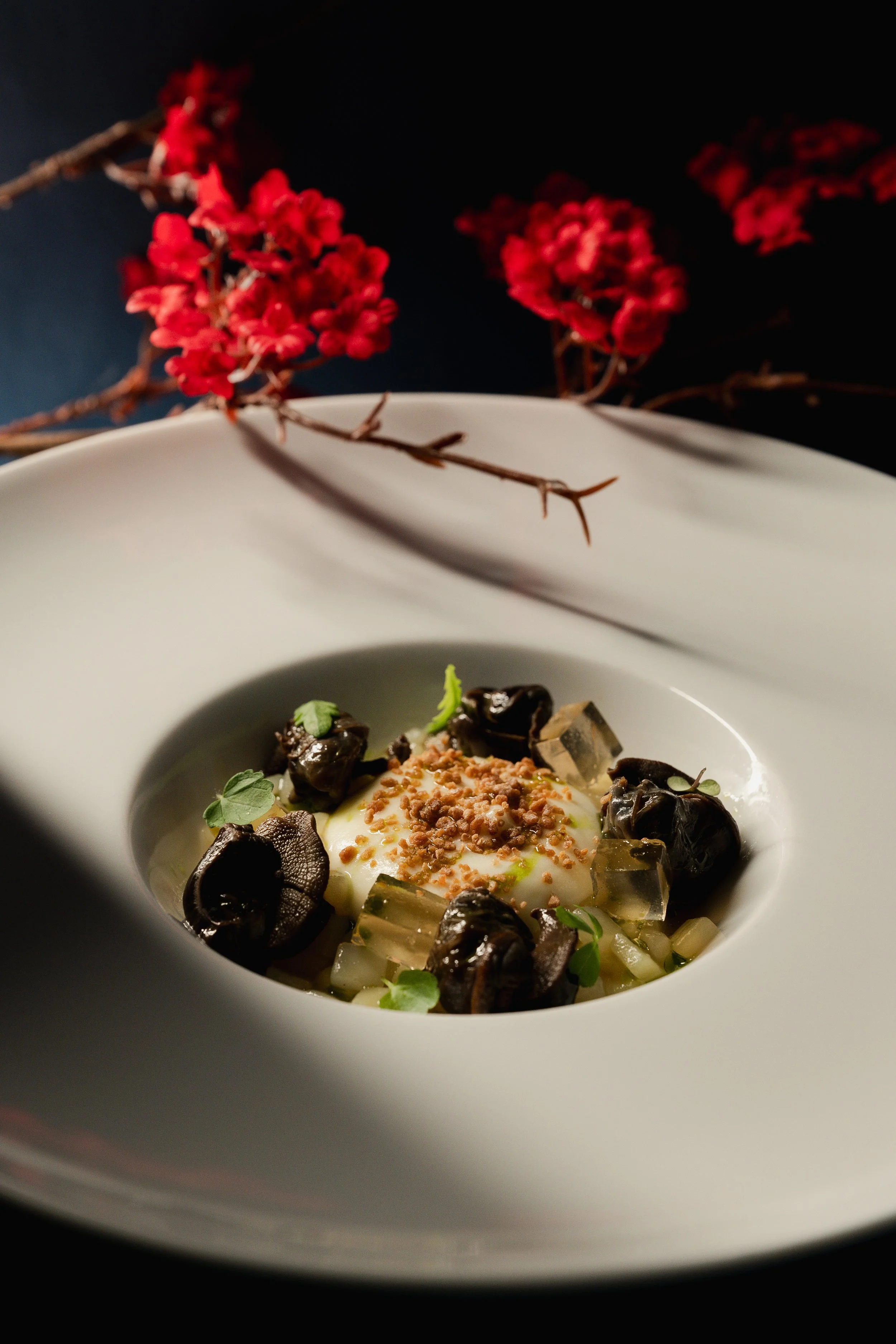 Grotto Tavern March 2026_Joel Gueller Photography-8.jpg