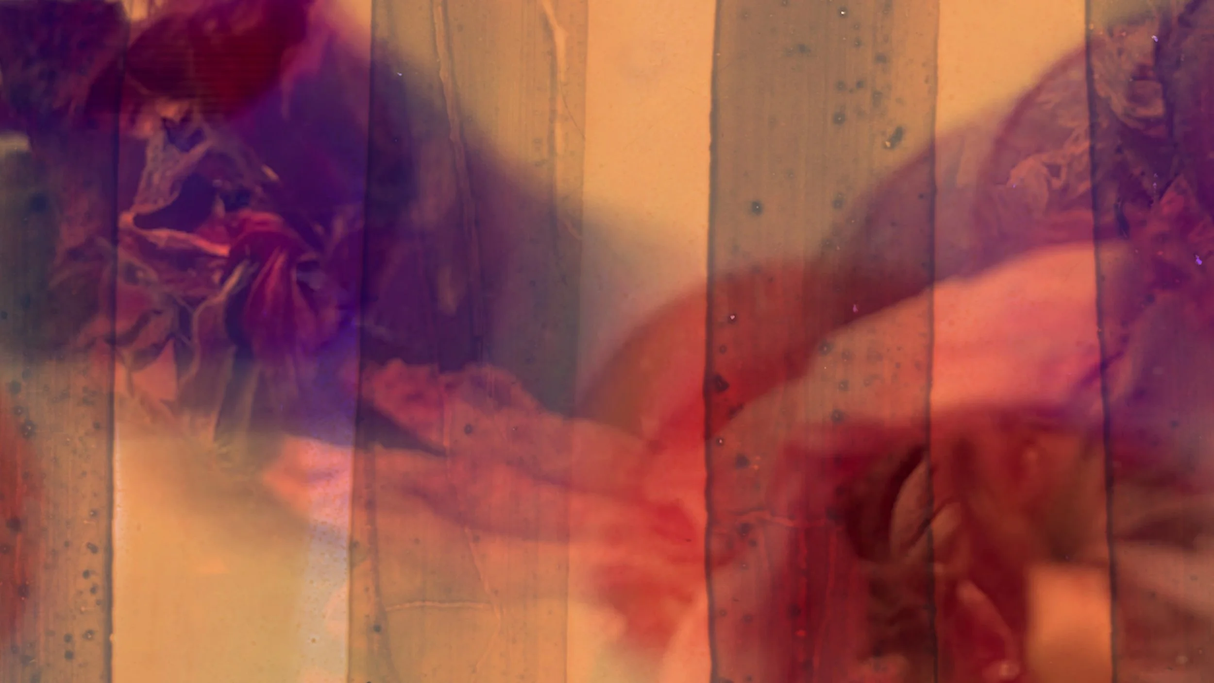 CRIP FILM CLUB: 'WE YEAR' BY SOP | RESTFEST FILM FESTIVAL X THE REMOTE BODY
