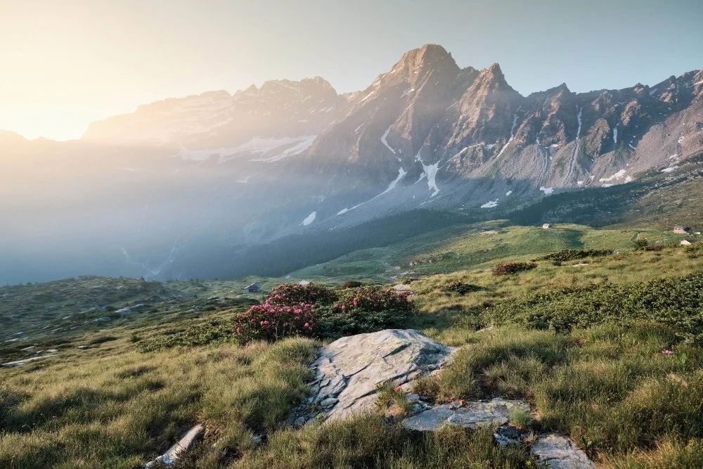 Berglandschaft mit grüner Wiese im Sonnenaufgang