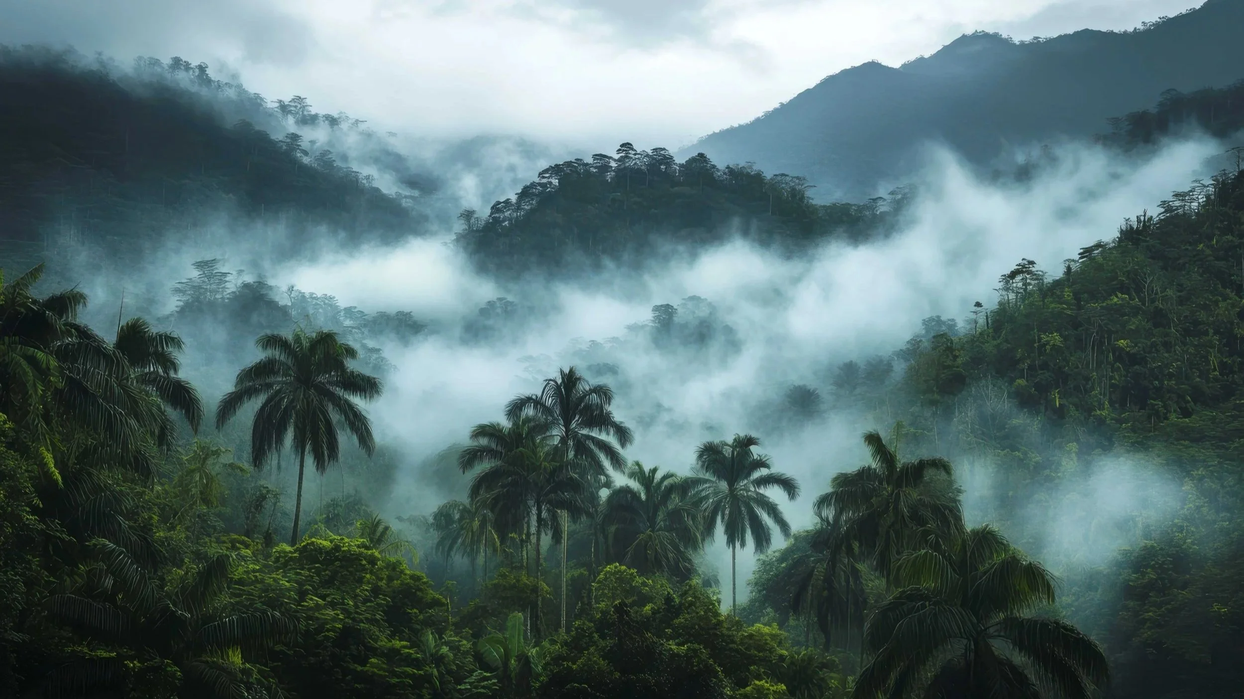 Teil 1: Wer macht was in der Psychotherapie?