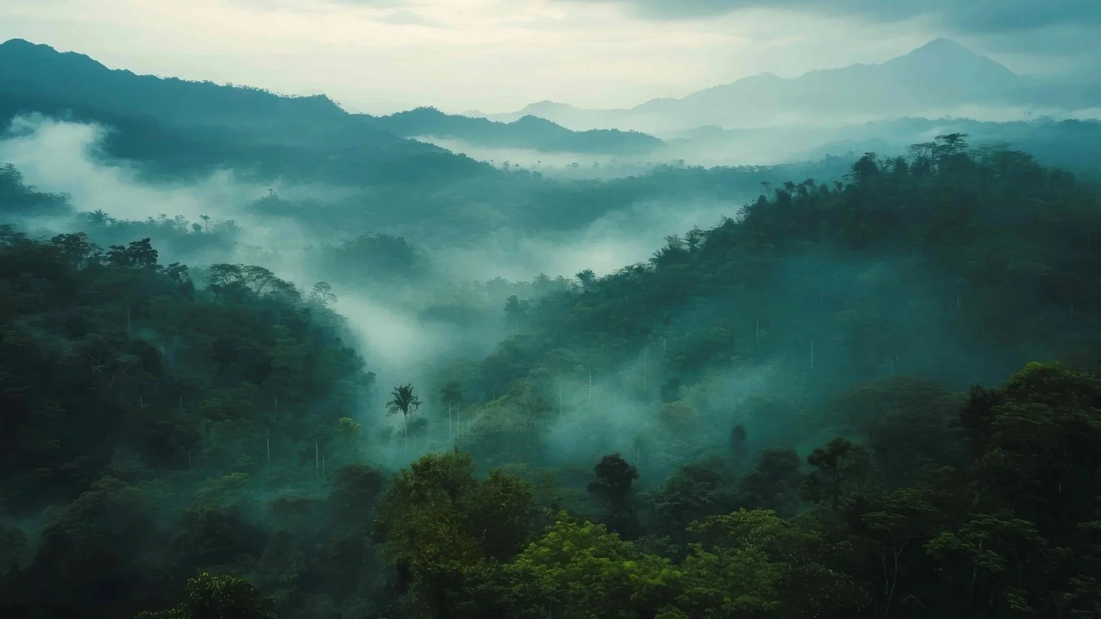 Teil 2: Diagnosen, Verfahren, Methoden - Psychotherapie verständlich erklärt 