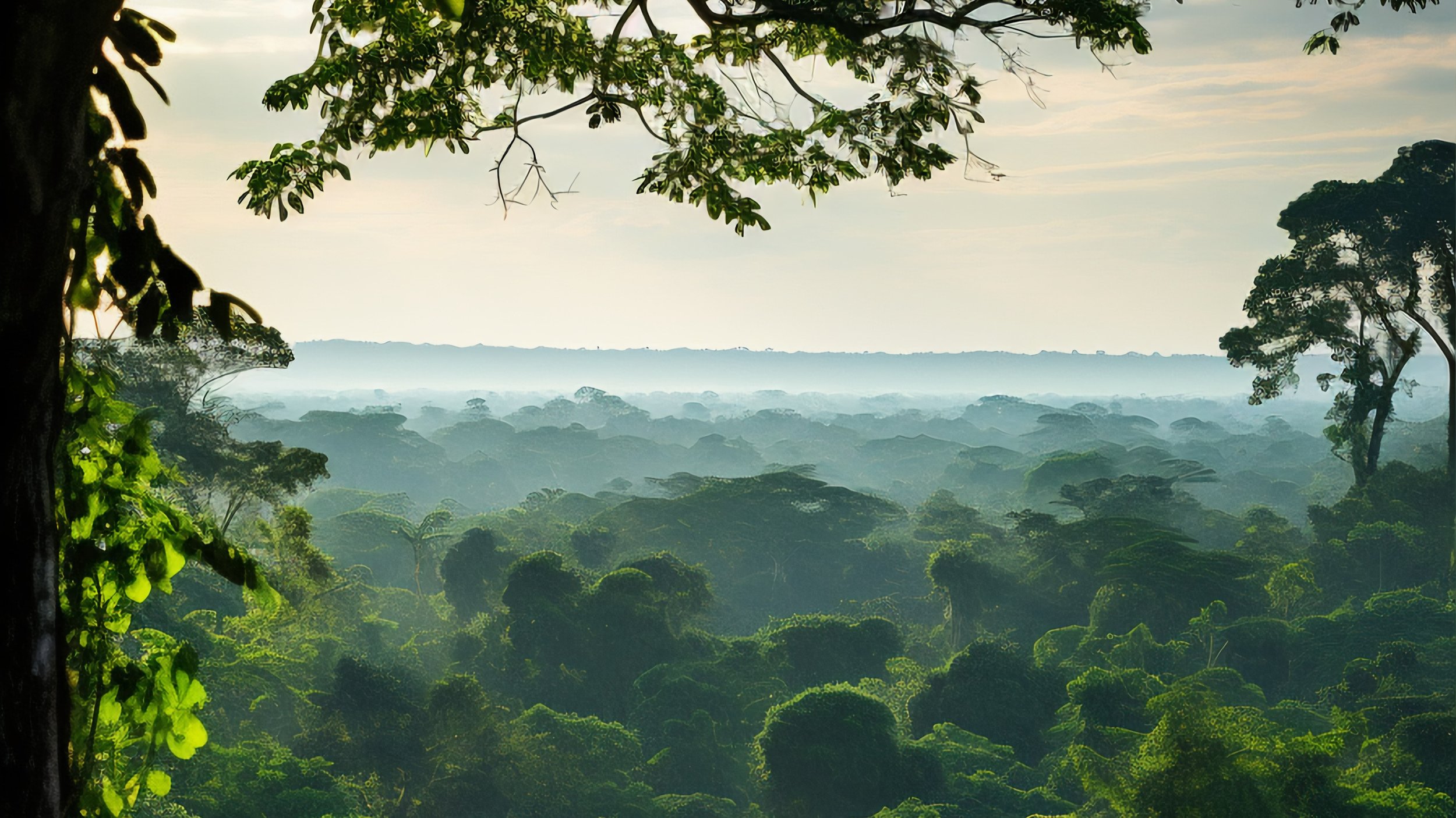 Teil 1: Wer macht was in der Psychotherapie?