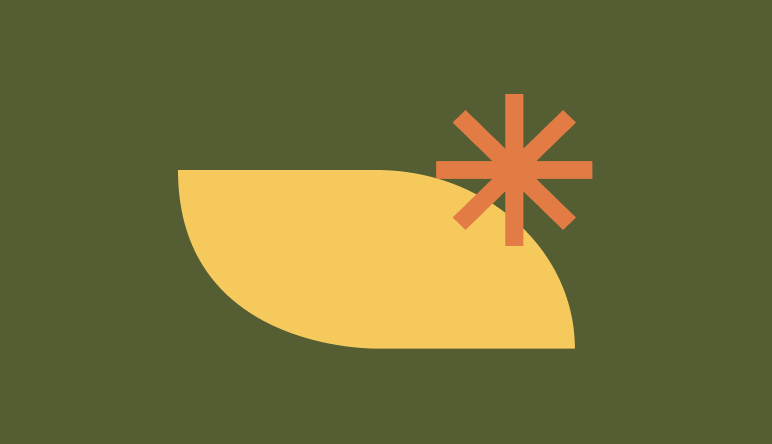 Abstract graphic with a yellow leaf shape and an orange asterisk on a green background.