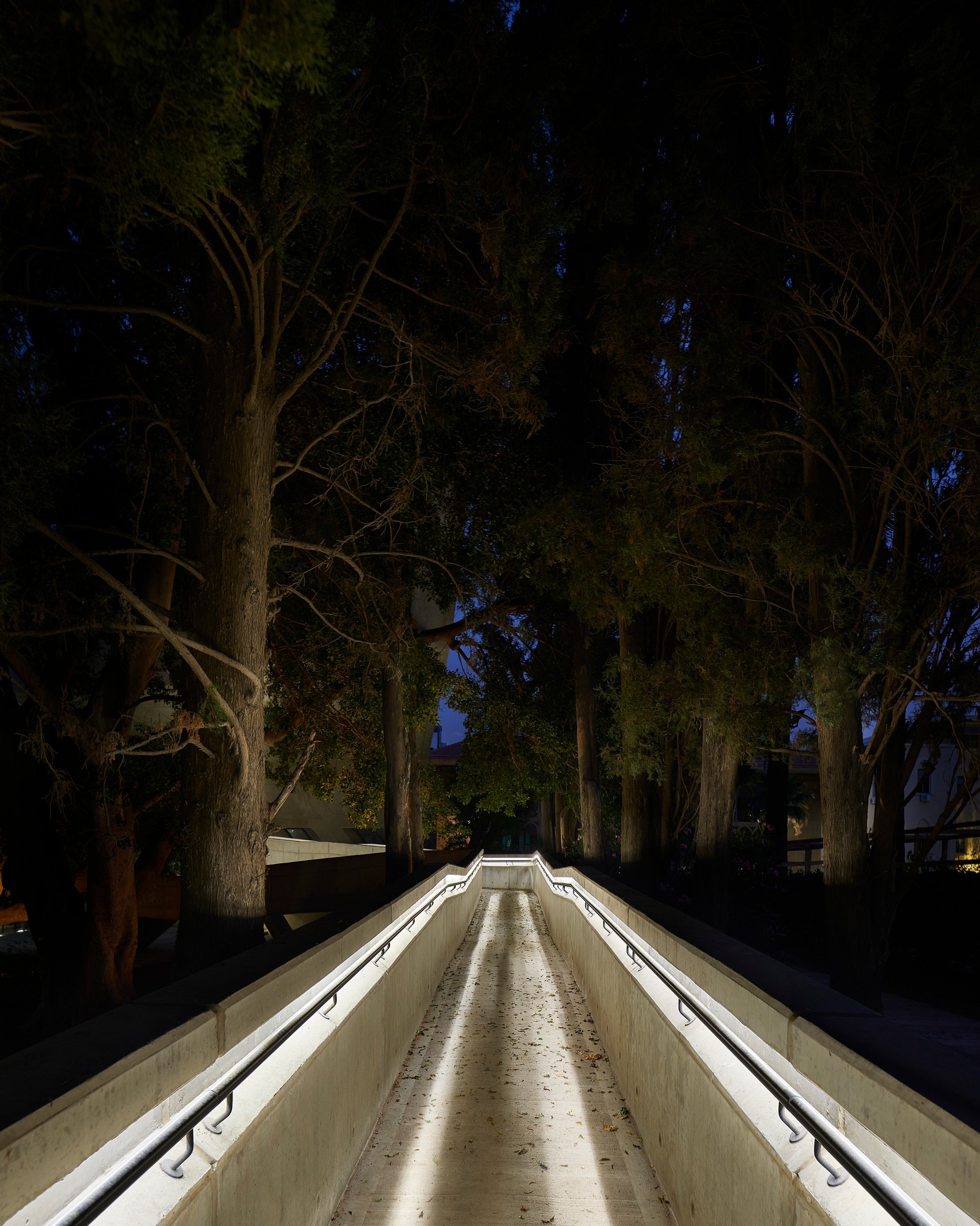 IssamFaresInstitute  (25).jpg