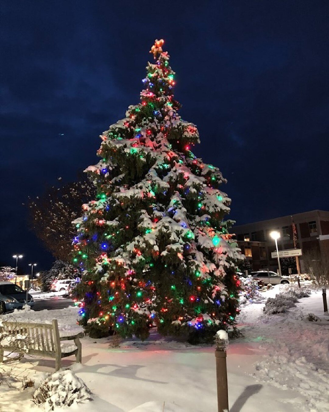 Every year, the Thompson Health Guild accepts tax-deductible donations to sponsor a light on their Tree of Lights, honoring the memory of someone you care about. 
.
Mark your calendar for December 5th for this year&rsquo;s Thompson Health tree lighti