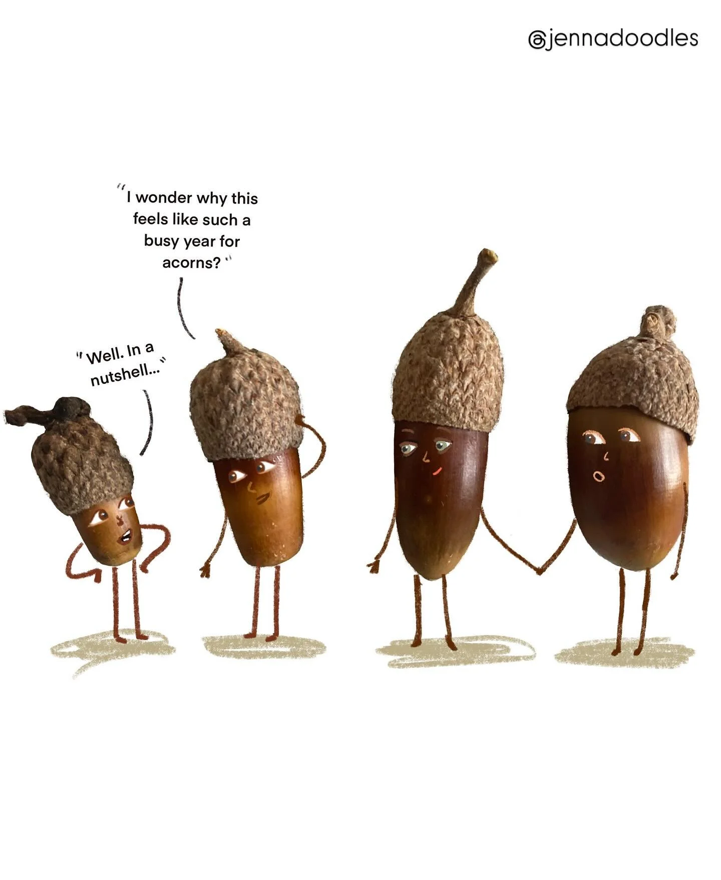 Anyone noticed LOADS of acorns? We did some digging and apparently it&rsquo;s because 2025 is a &lsquo;mast year&rsquo; &hellip;meaning an extra large, synchronised production of acorns! 🌱 Not sure if anyone can verify this and explain why?! Anyway,
