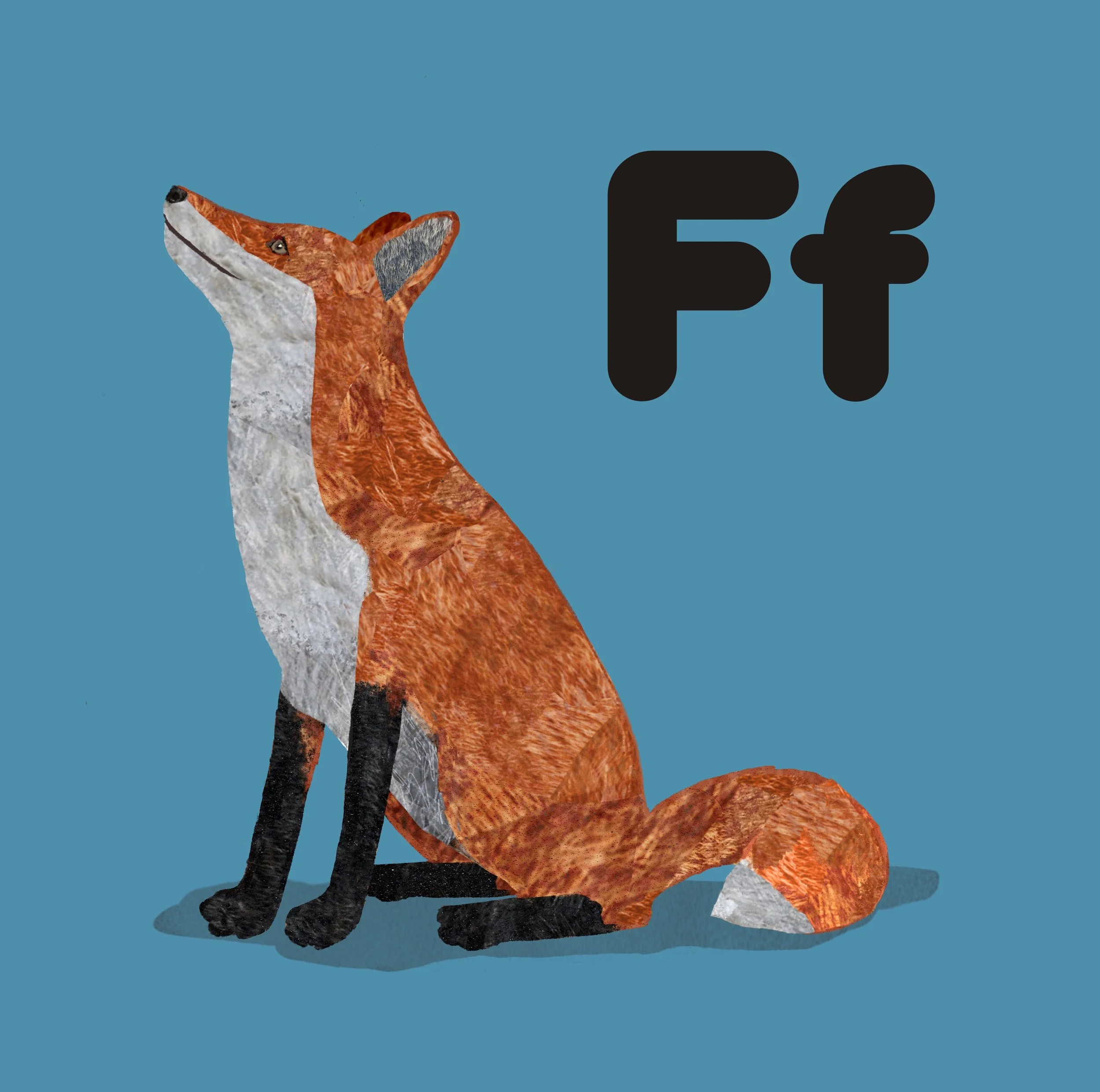 Red_Fox.JPG