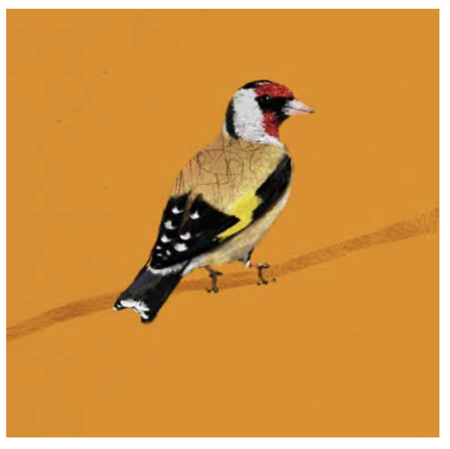 Screenshot 2026-03-13 at 13.52.44.png