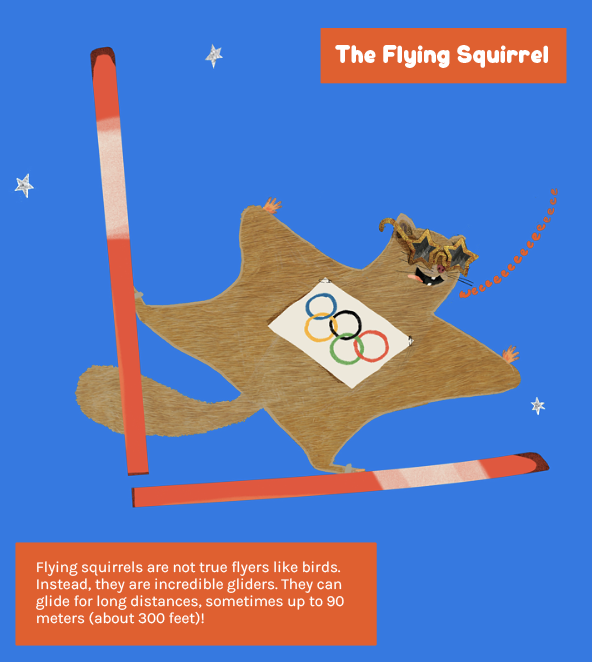 Screenshot 2026-02-11 at 10.35.47.png