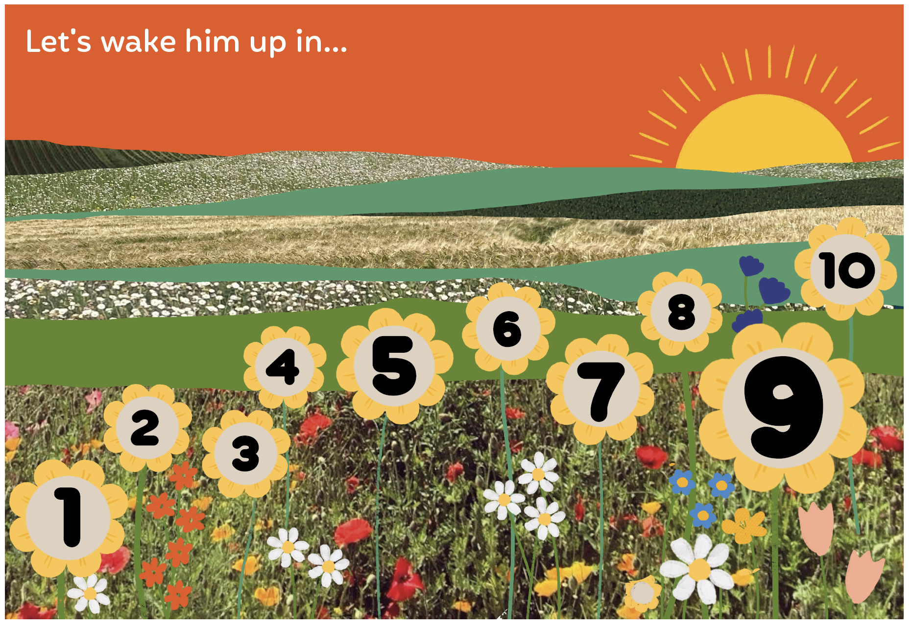 Screenshot 2026-02-11 at 10.47.40.png