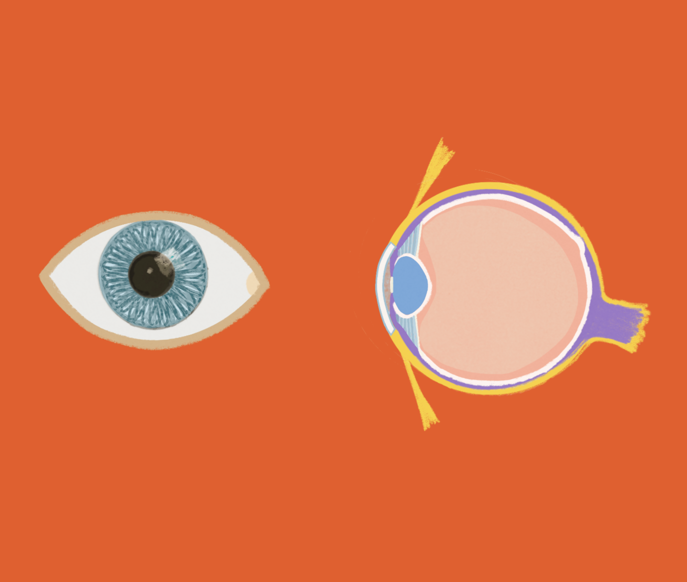 Screenshot 2026-03-13 at 14.05.05.png