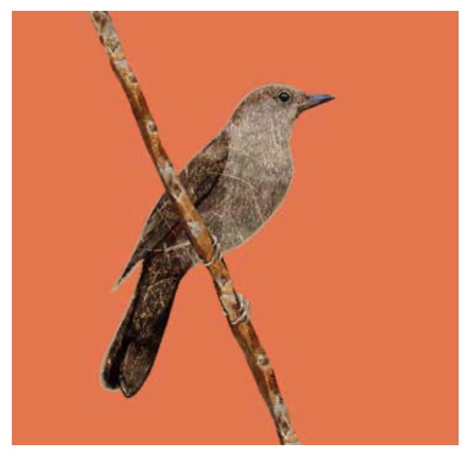 Screenshot 2026-03-13 at 13.52.33.png