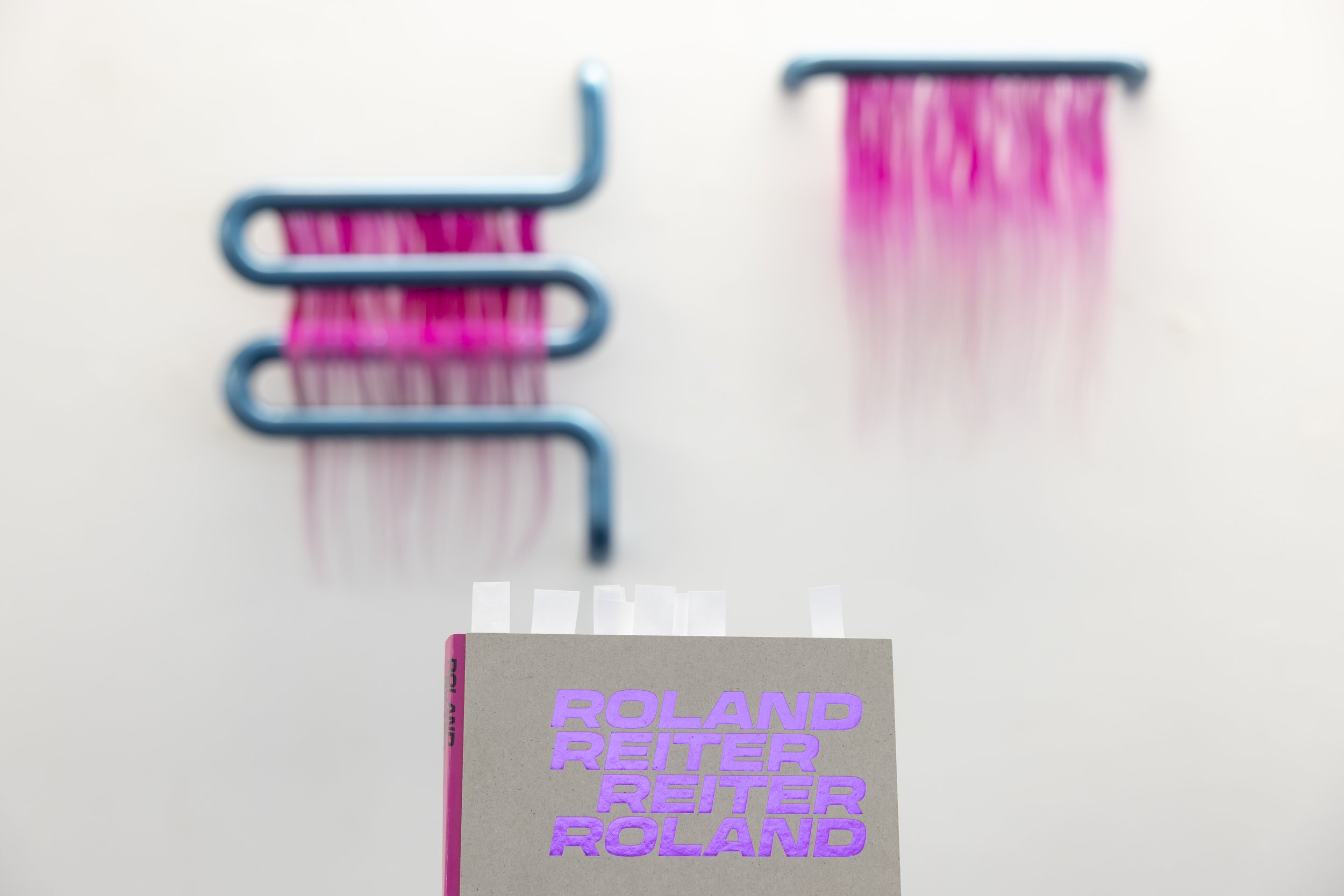20260321_RolandReiterReiterRoland_029.jpg