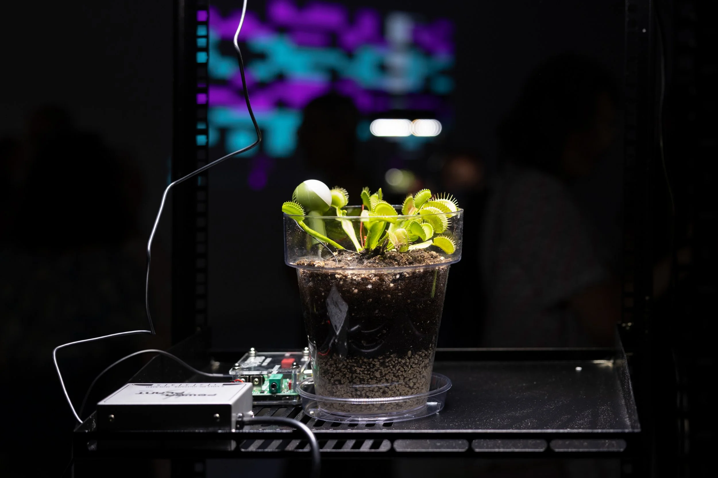 20260811_TRIALOGUE-HolobiontHabitat_001.jpg