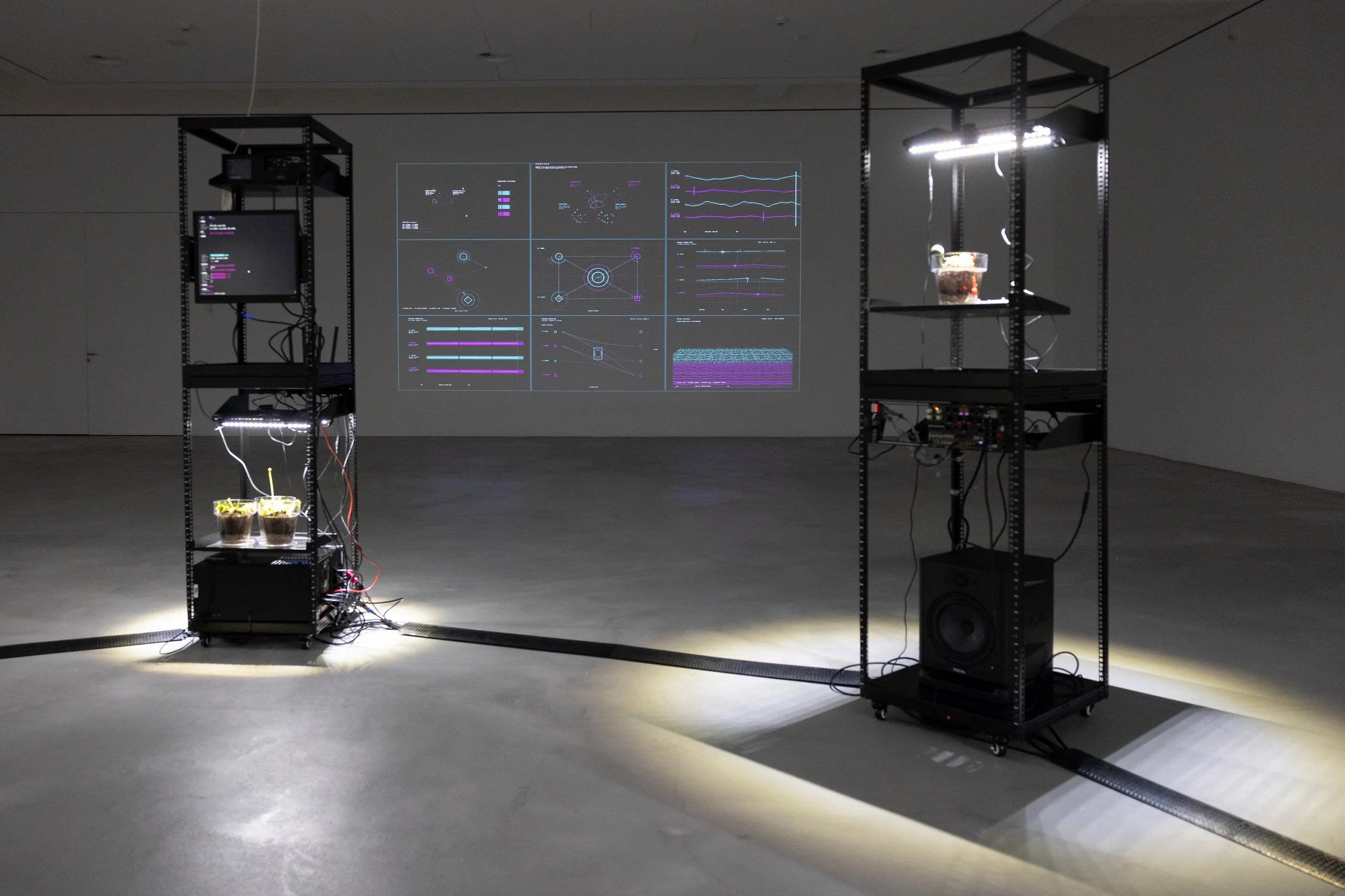 20260811_TRIALOGUE-HolobiontHabitat_005.jpg