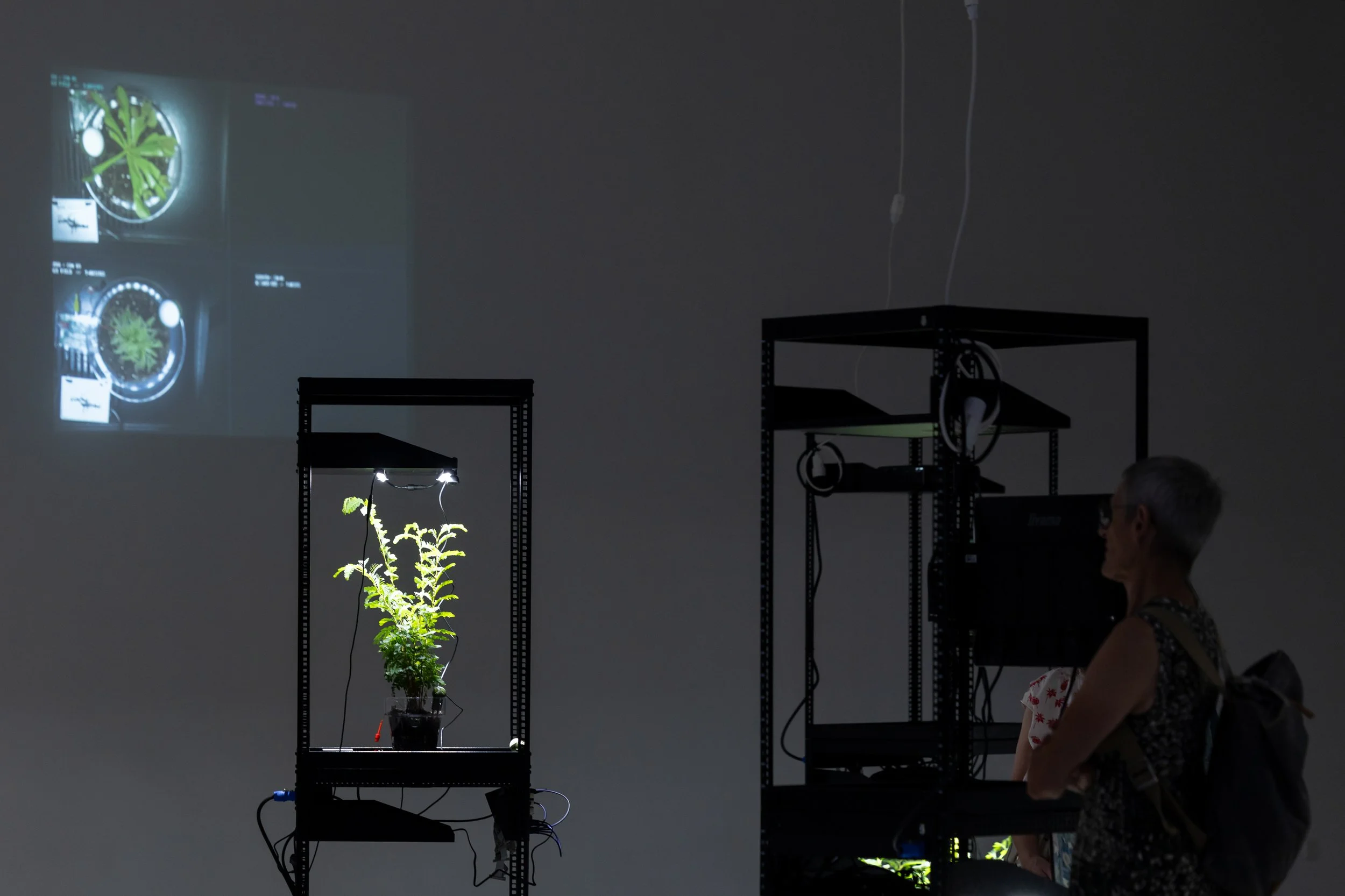 20260811_TRIALOGUE-HolobiontHabitat_011.jpg