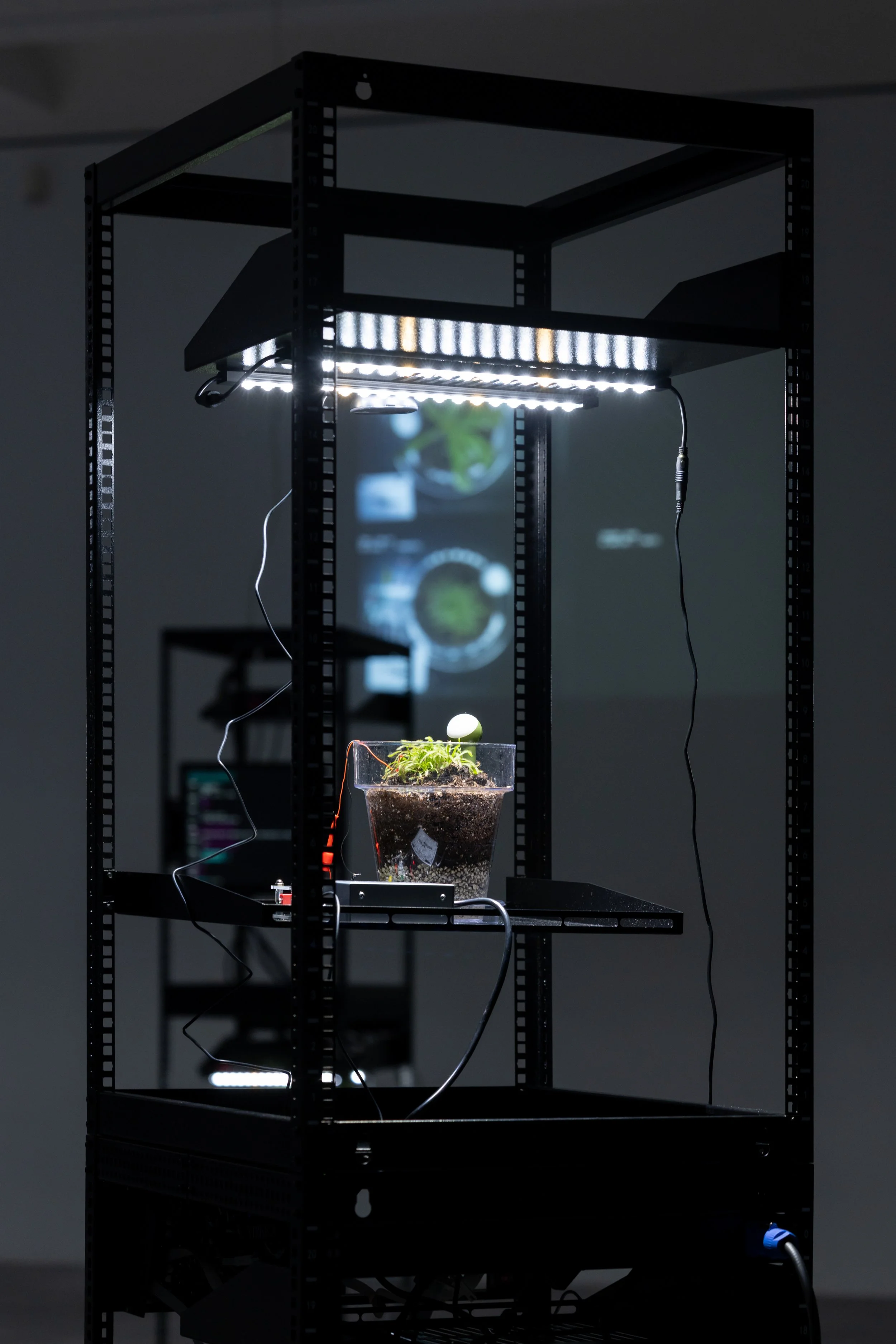 20260811_TRIALOGUE-HolobiontHabitat_012.jpg