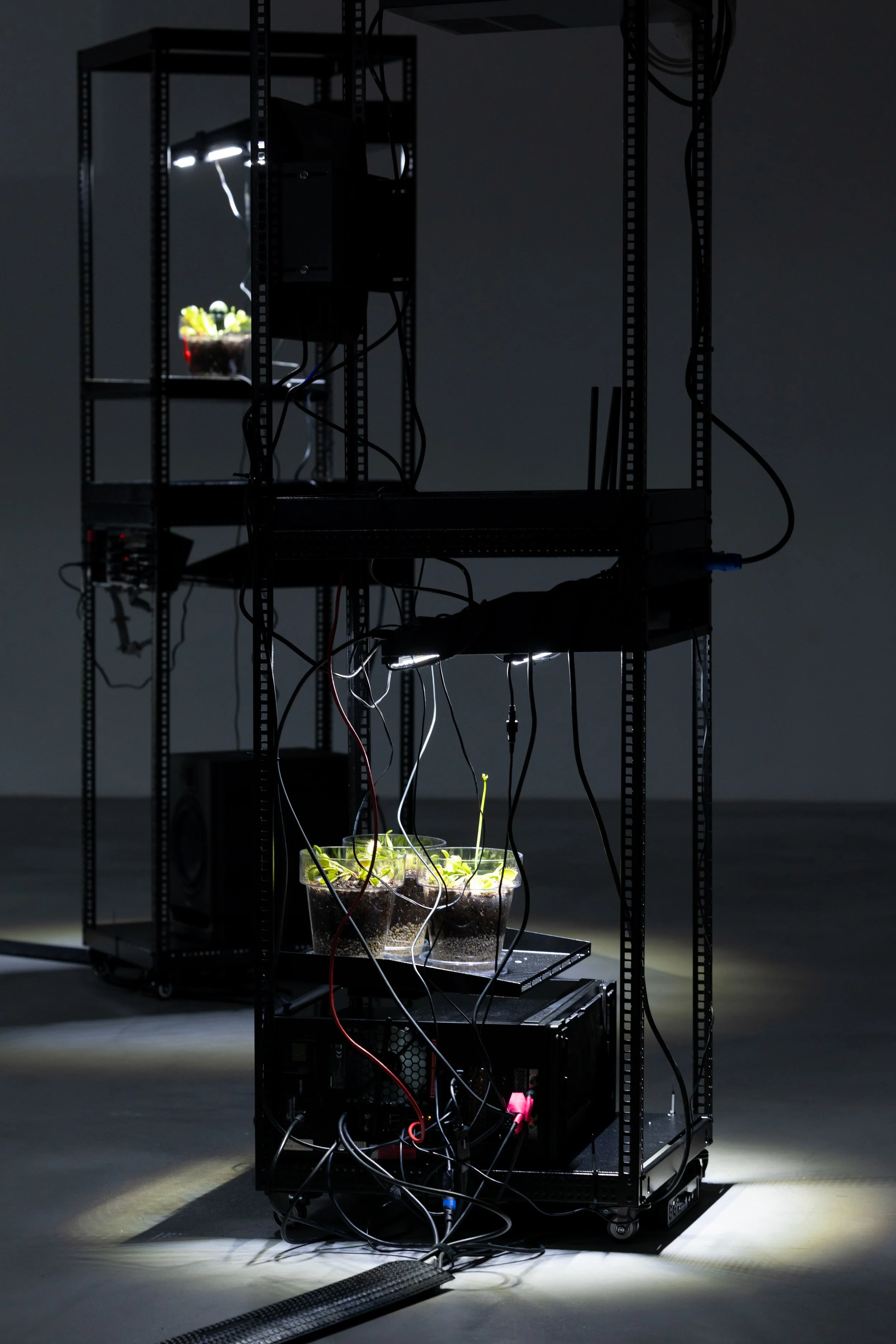 20260811_TRIALOGUE-HolobiontHabitat_013.jpg
