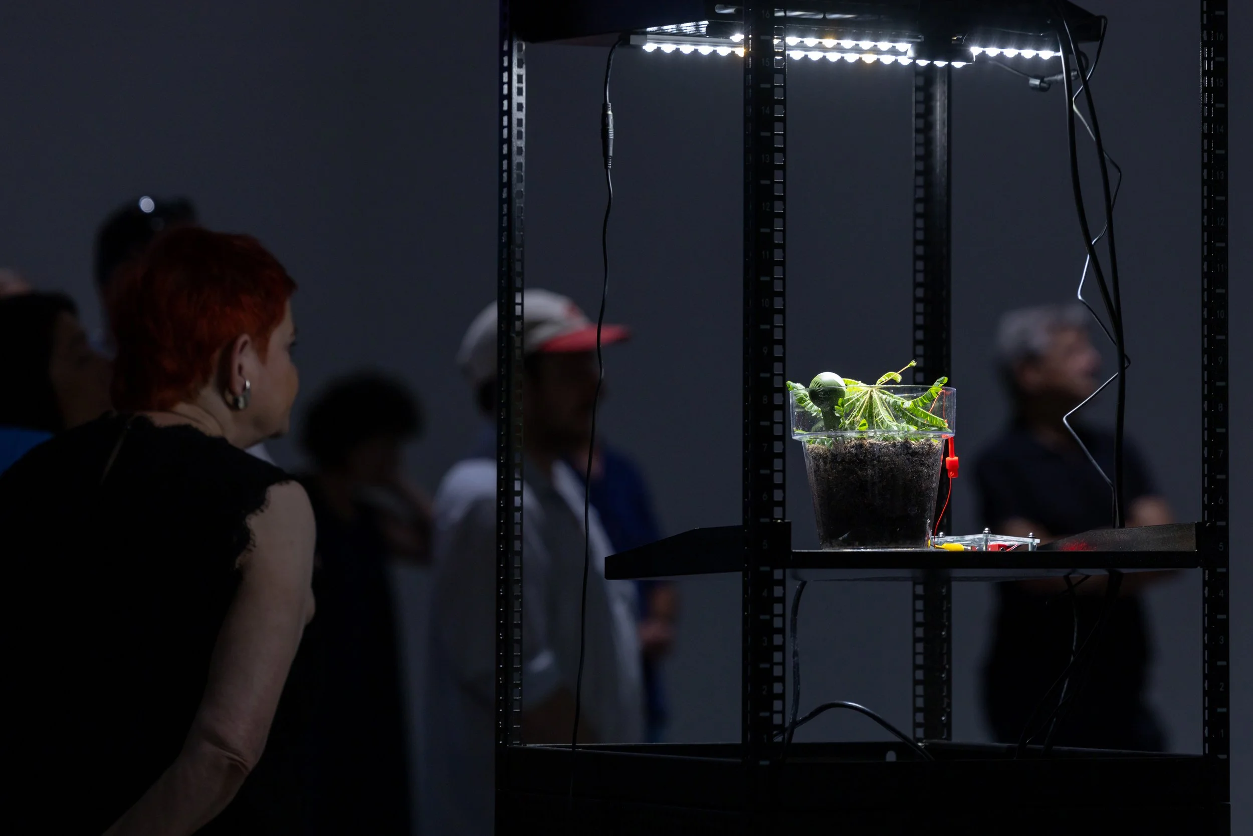 20260811_TRIALOGUE-HolobiontHabitat_018.jpg