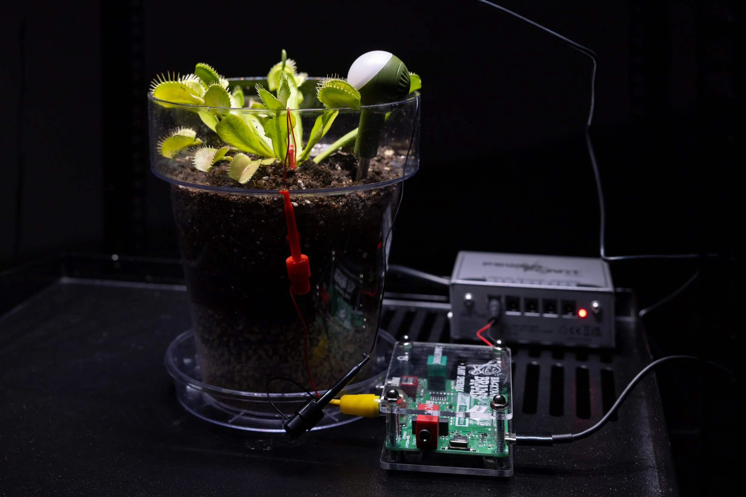 20260811_TRIALOGUE-HolobiontHabitat_020.jpg