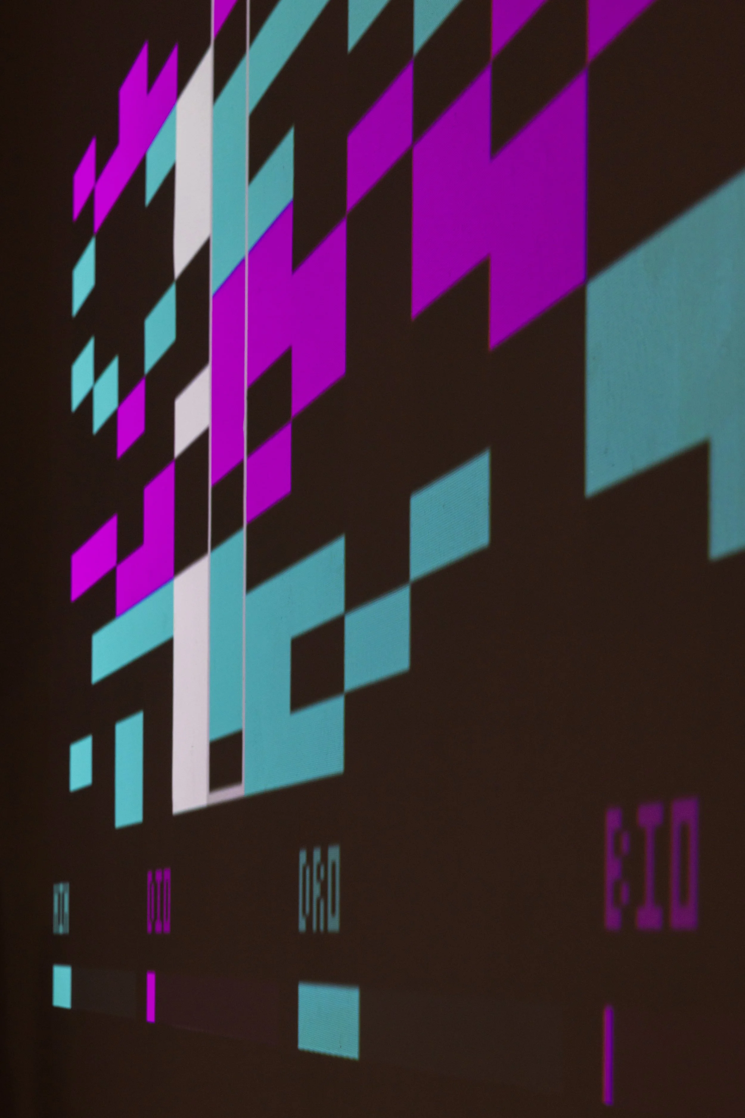 20260811_TRIALOGUE-HolobiontHabitat_024.jpg