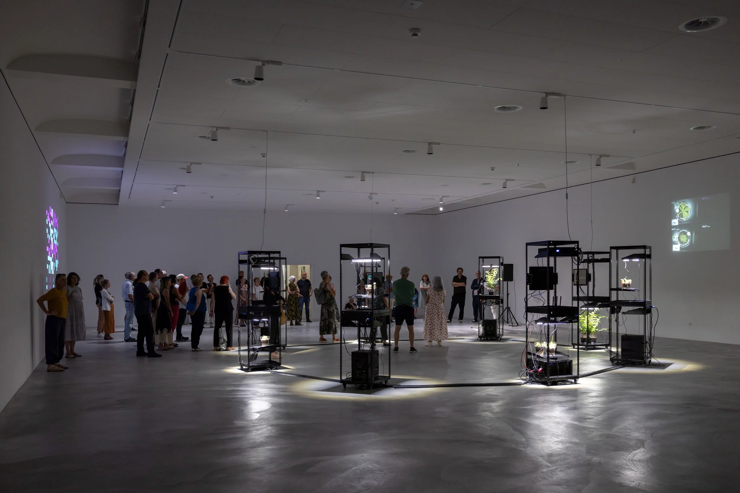20260811_TRIALOGUE-HolobiontHabitat_026.jpg