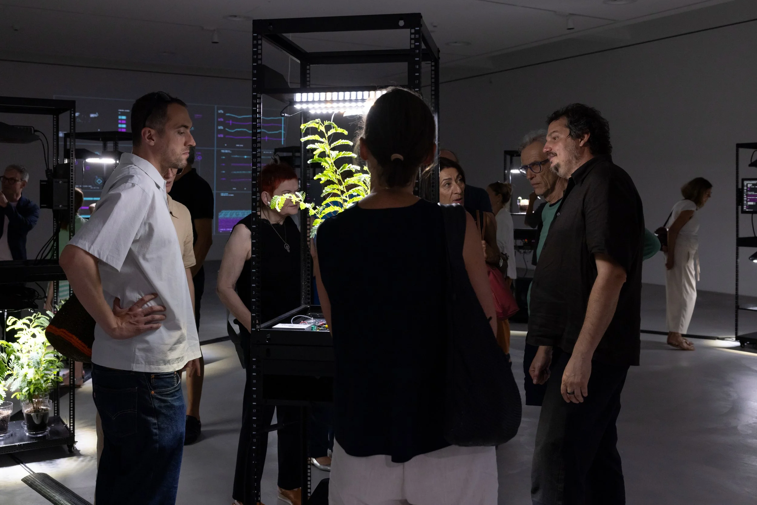 20260811_TRIALOGUE-HolobiontHabitat_041.jpg