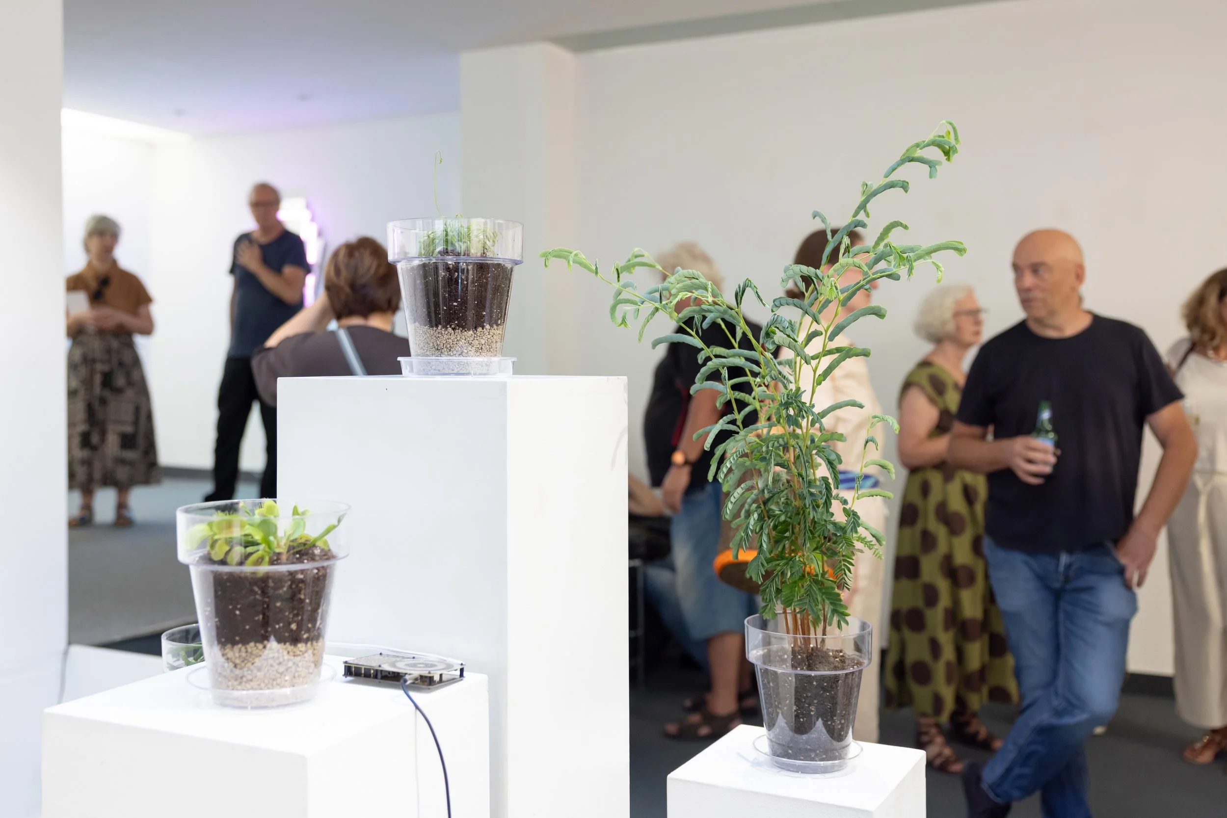 20260811_TRIALOGUE-HolobiontHabitat_057.jpg