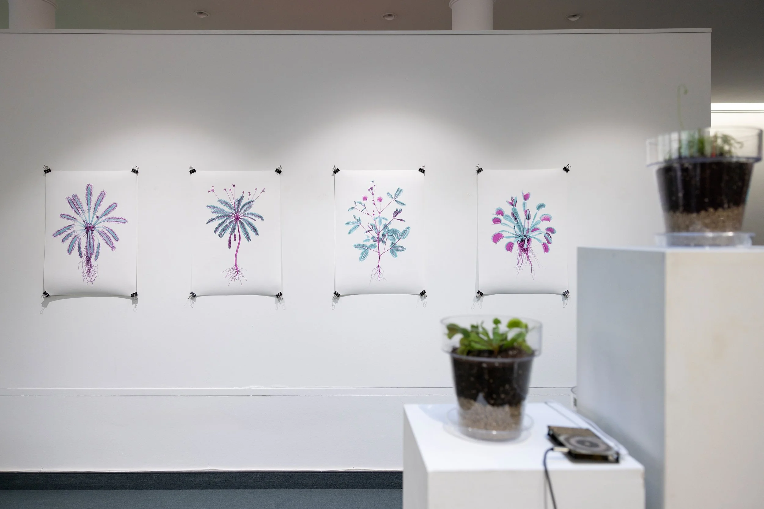 20260811_TRIALOGUE-HolobiontHabitat_059.jpg
