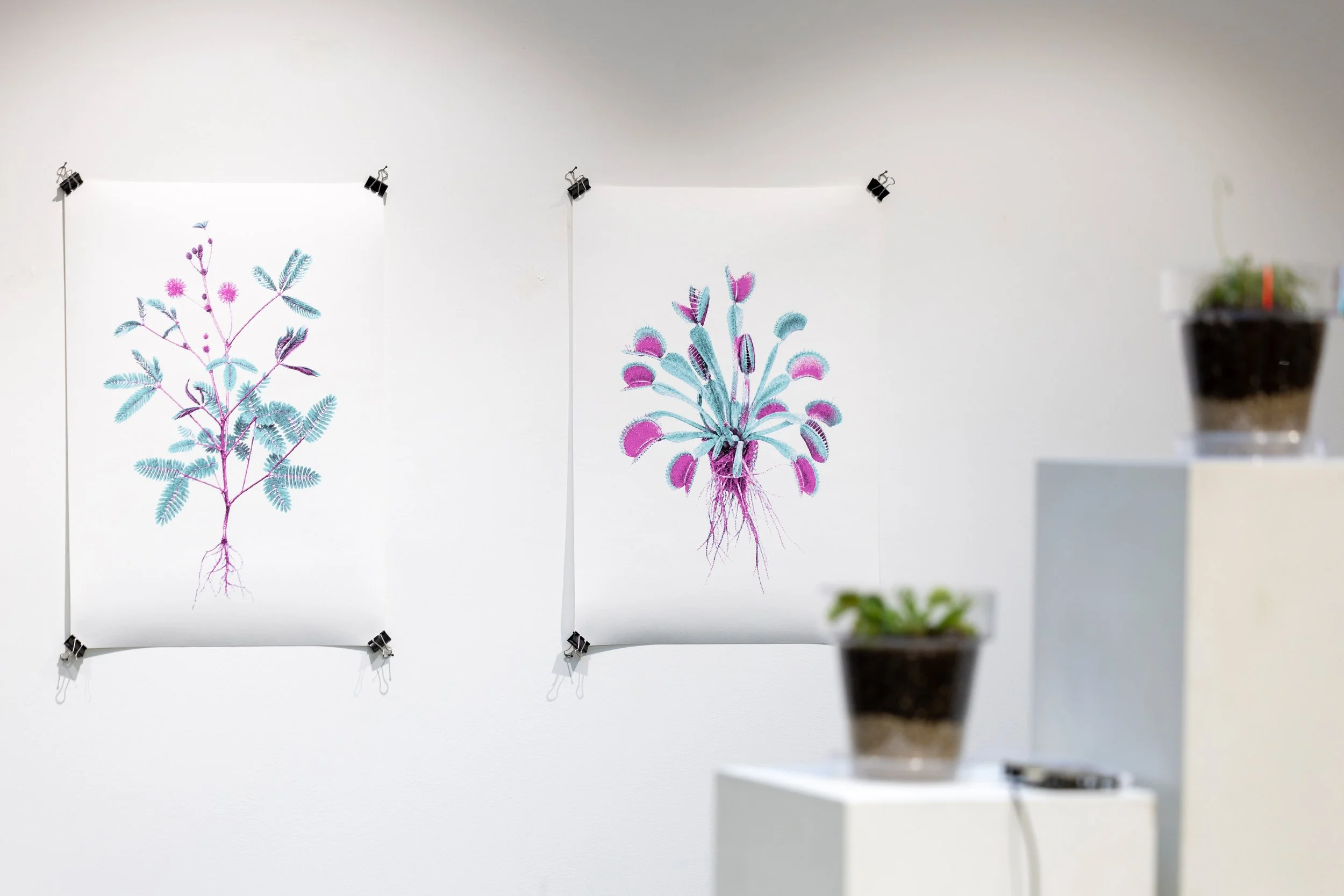20260811_TRIALOGUE-HolobiontHabitat_062.jpg