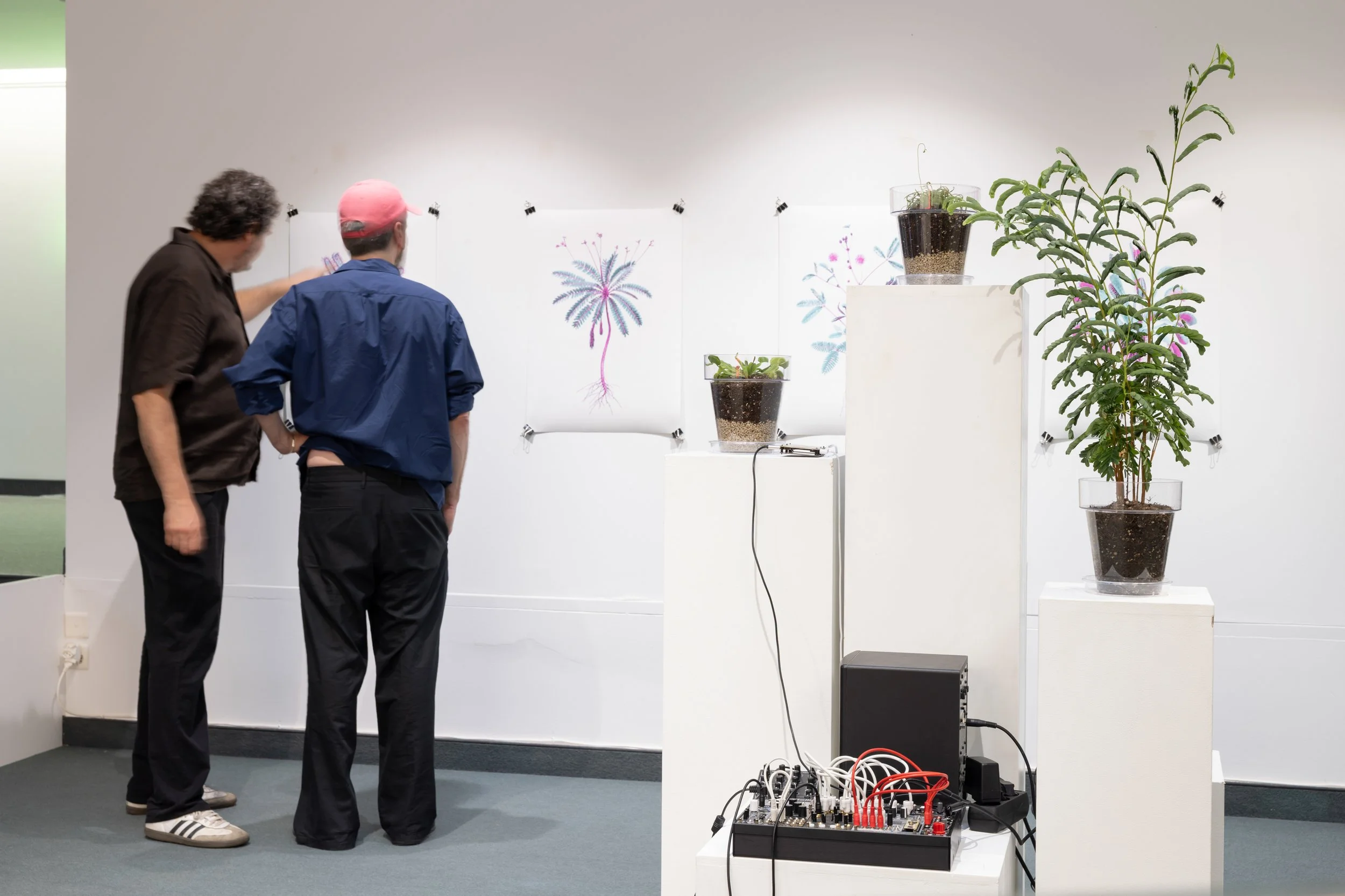 20260811_TRIALOGUE-HolobiontHabitat_089.jpg