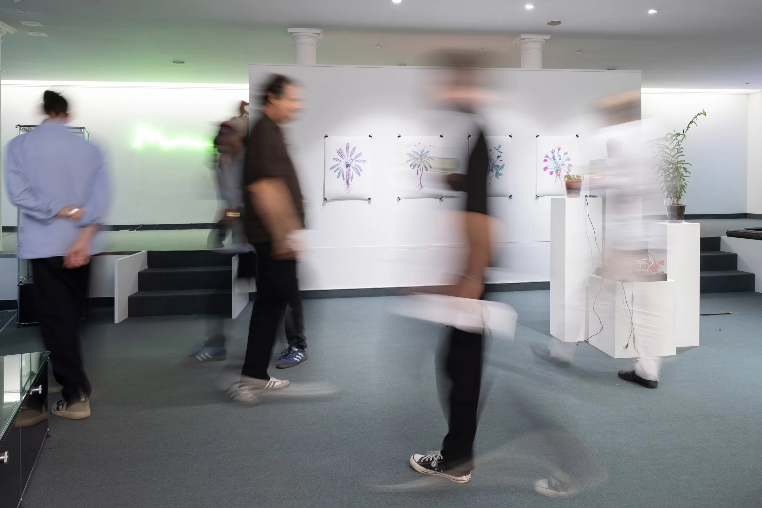 20260811_TRIALOGUE-HolobiontHabitat_090.jpg