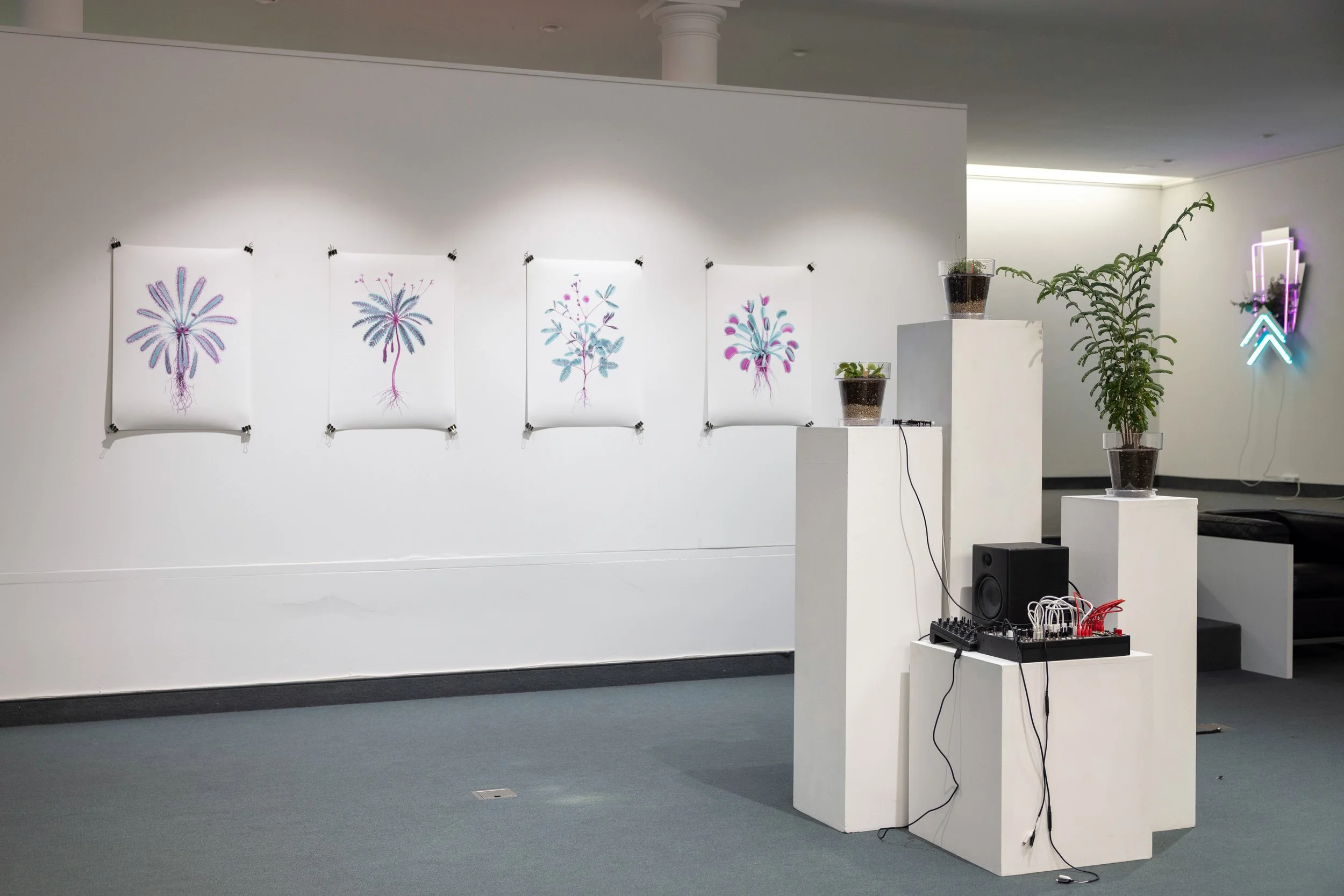 20260811_TRIALOGUE-HolobiontHabitat_093.jpg
